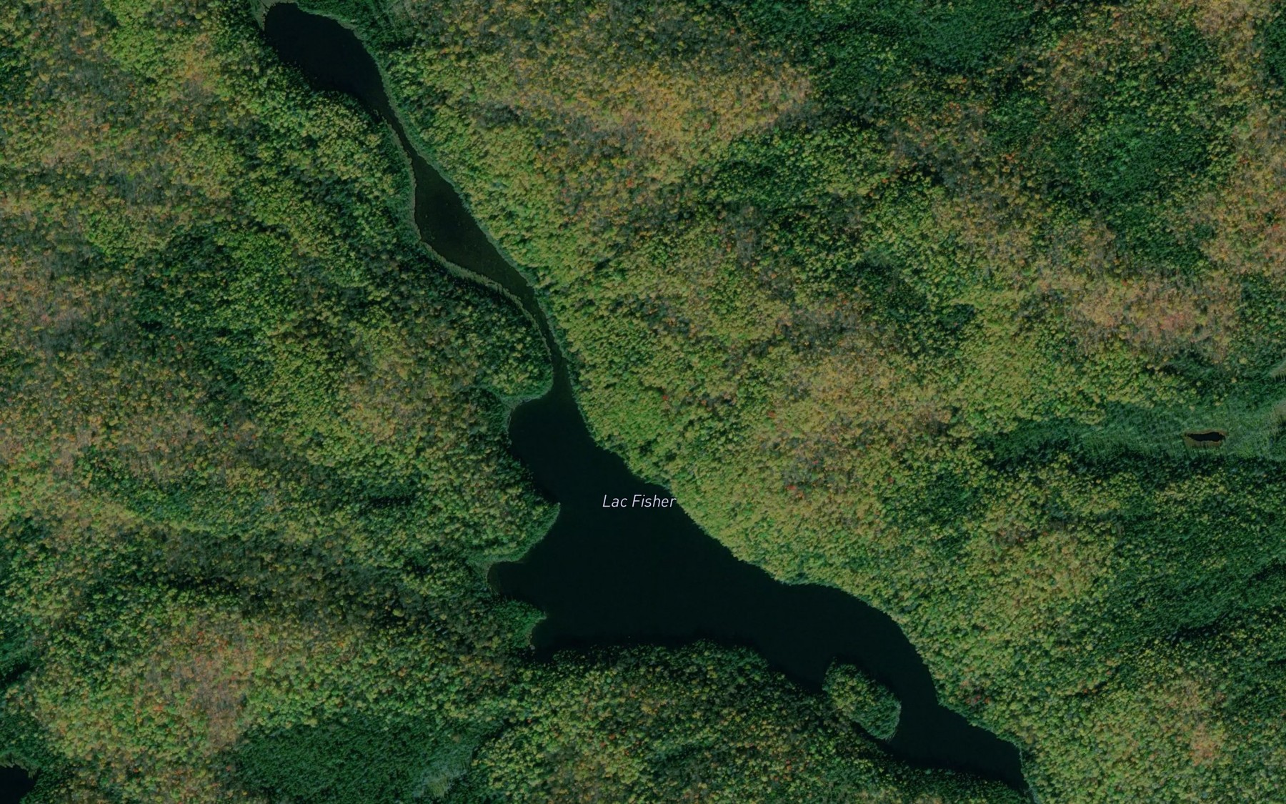 Satellite map of the Lac Fisher