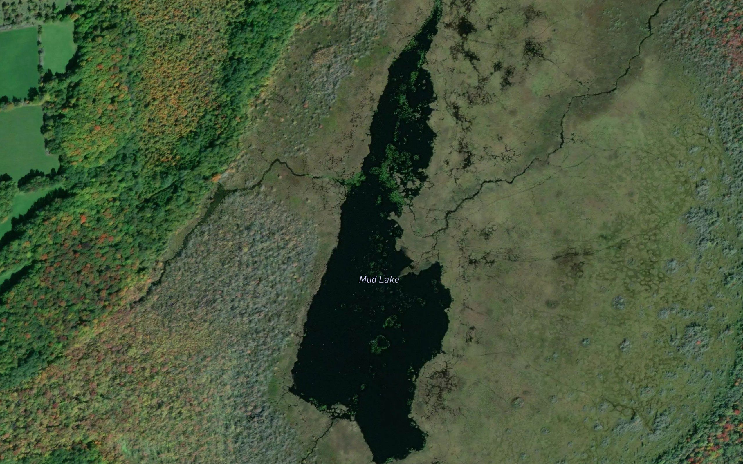 Mud Lake