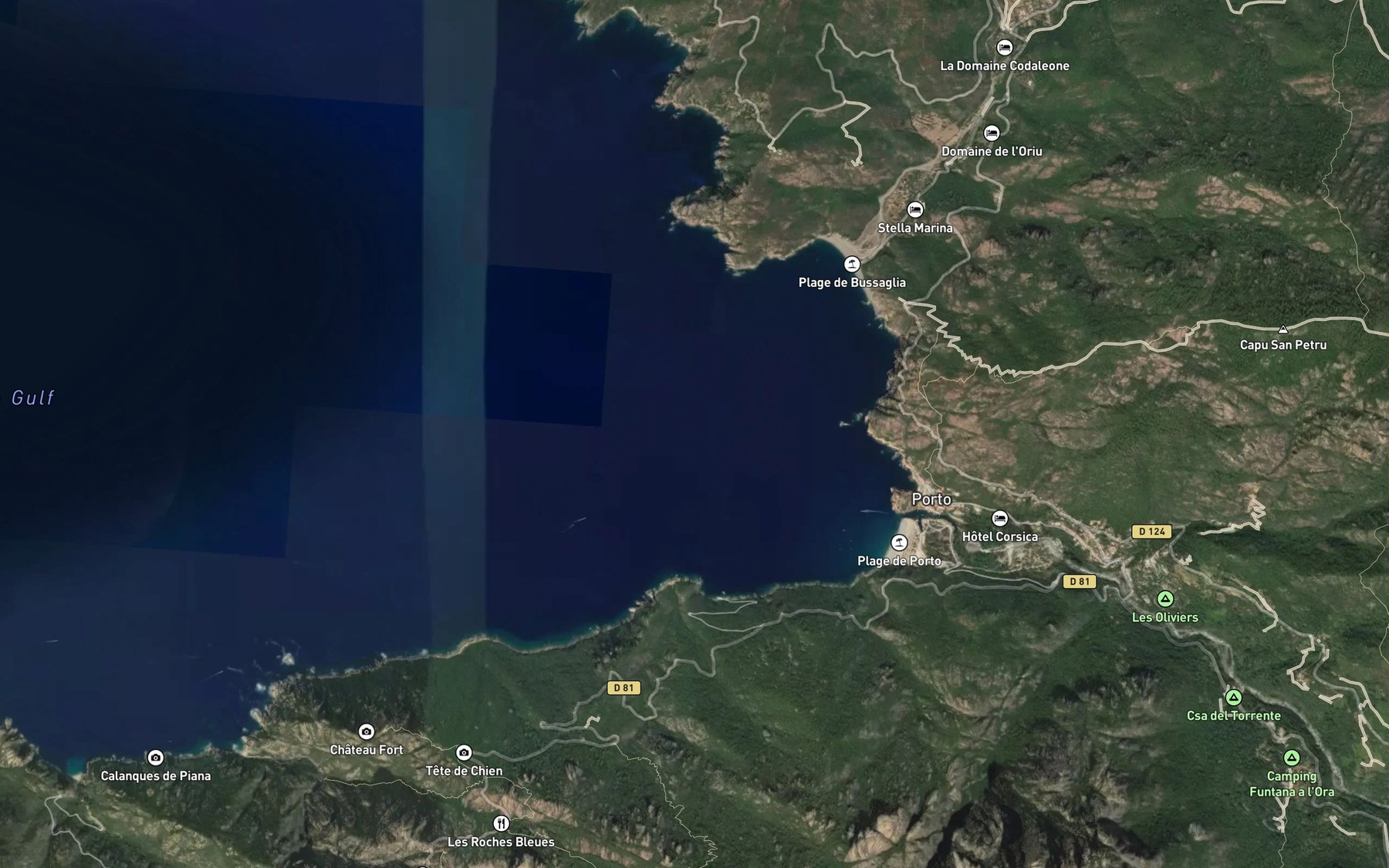Satellite map of the Golfe de Porto