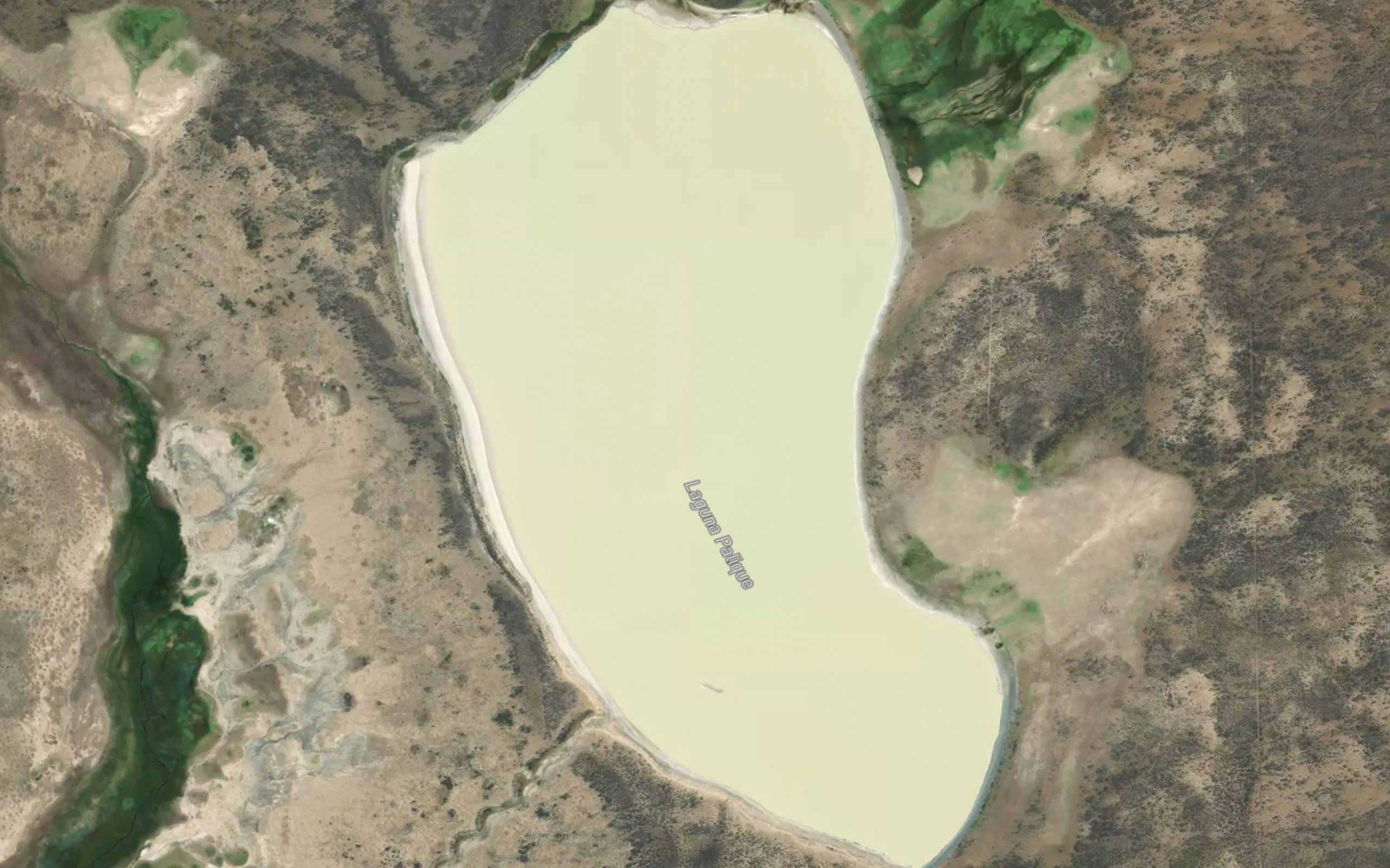 Laguna Palique