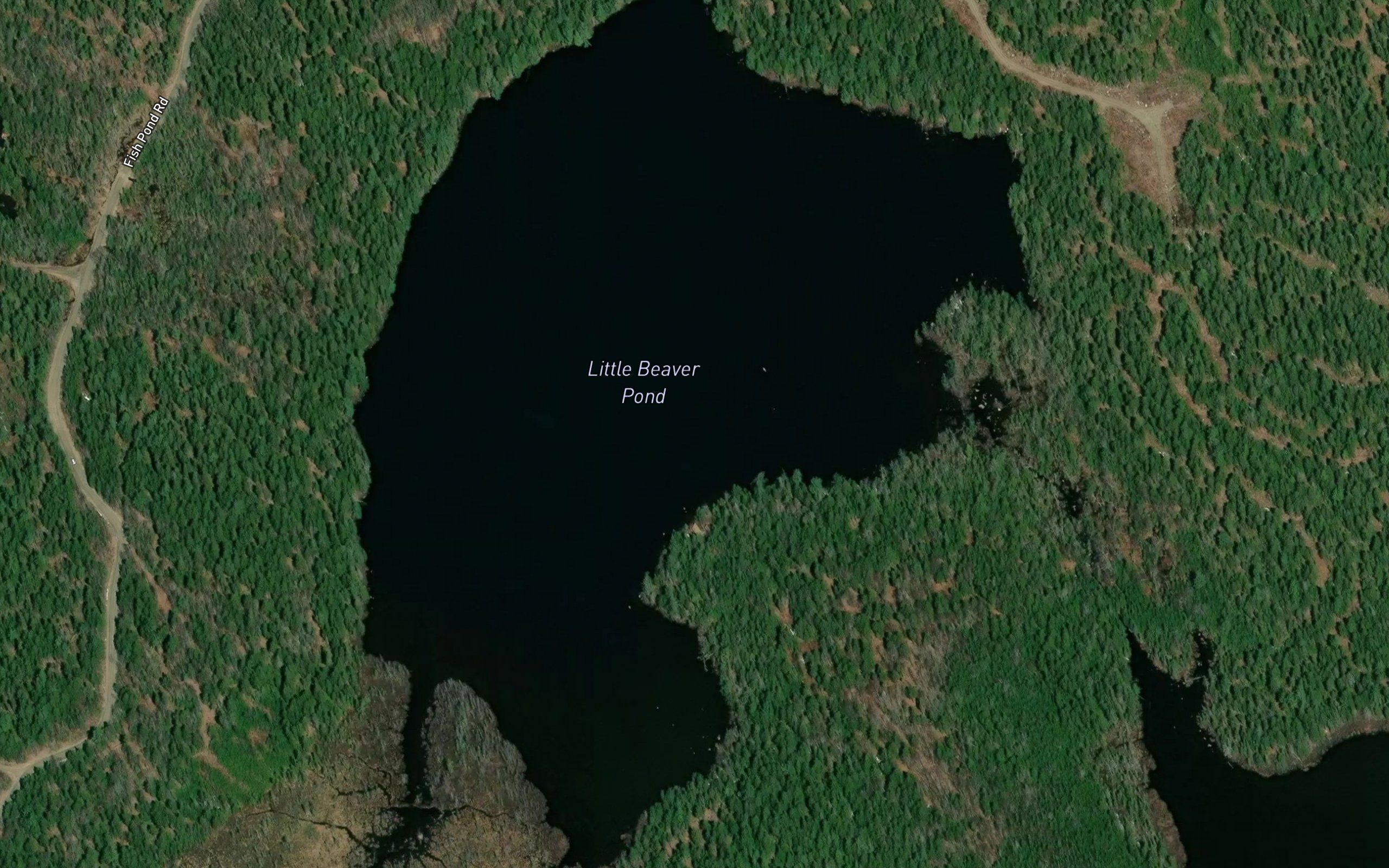 Little Beaver Pond