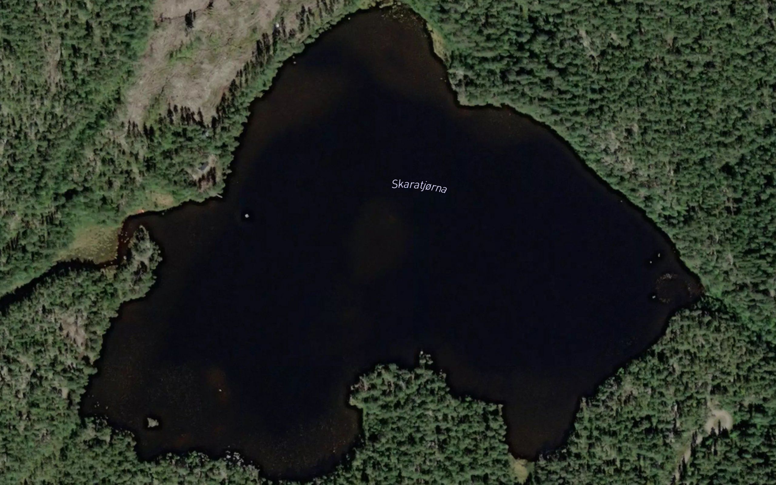 Skalrotjonn