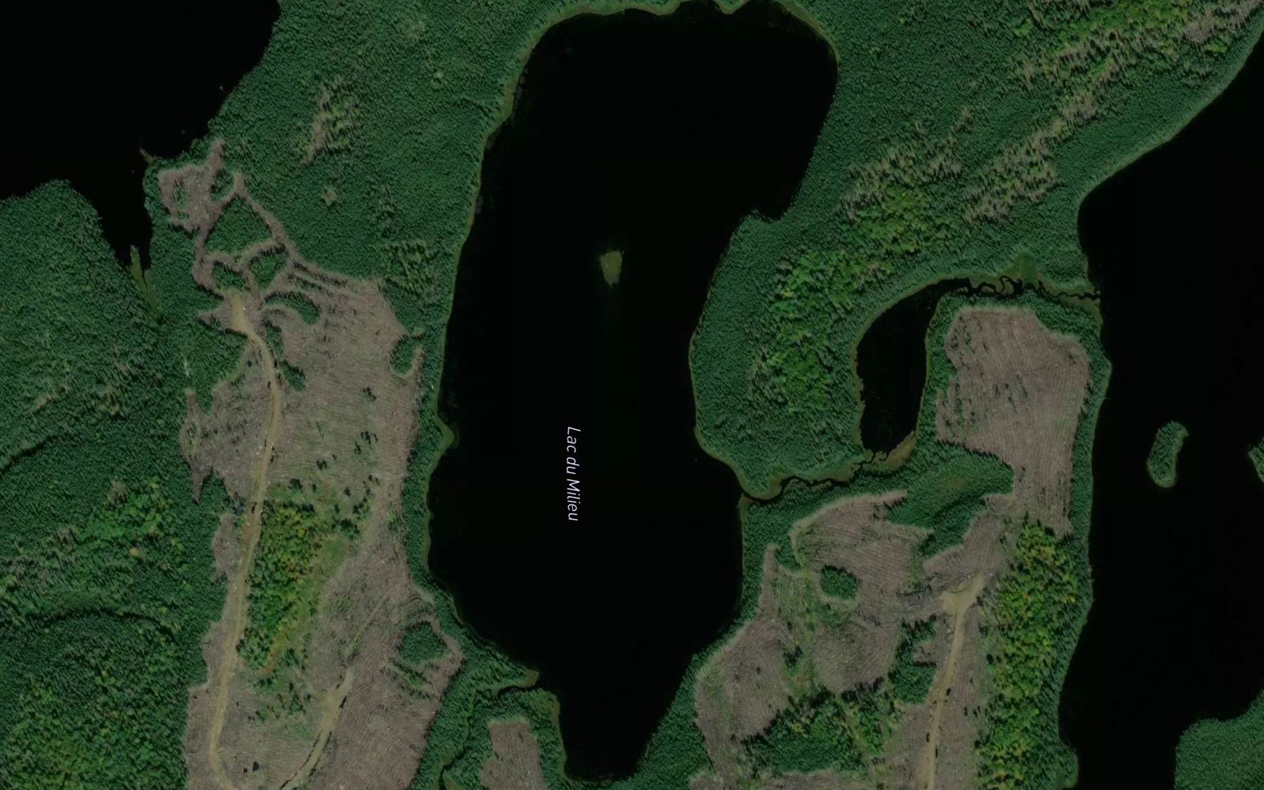 Satellite map of the Lac du Milieu