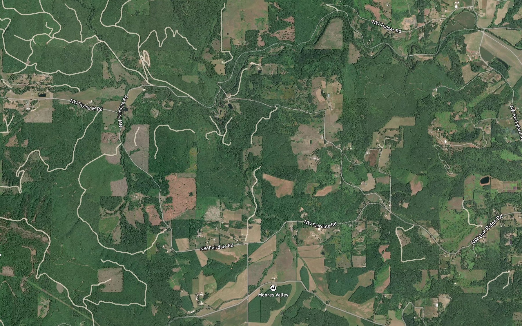 Satellite map of the Panther Creek Reservoir