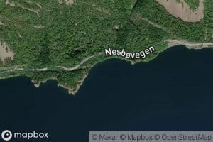 Brynenesvika