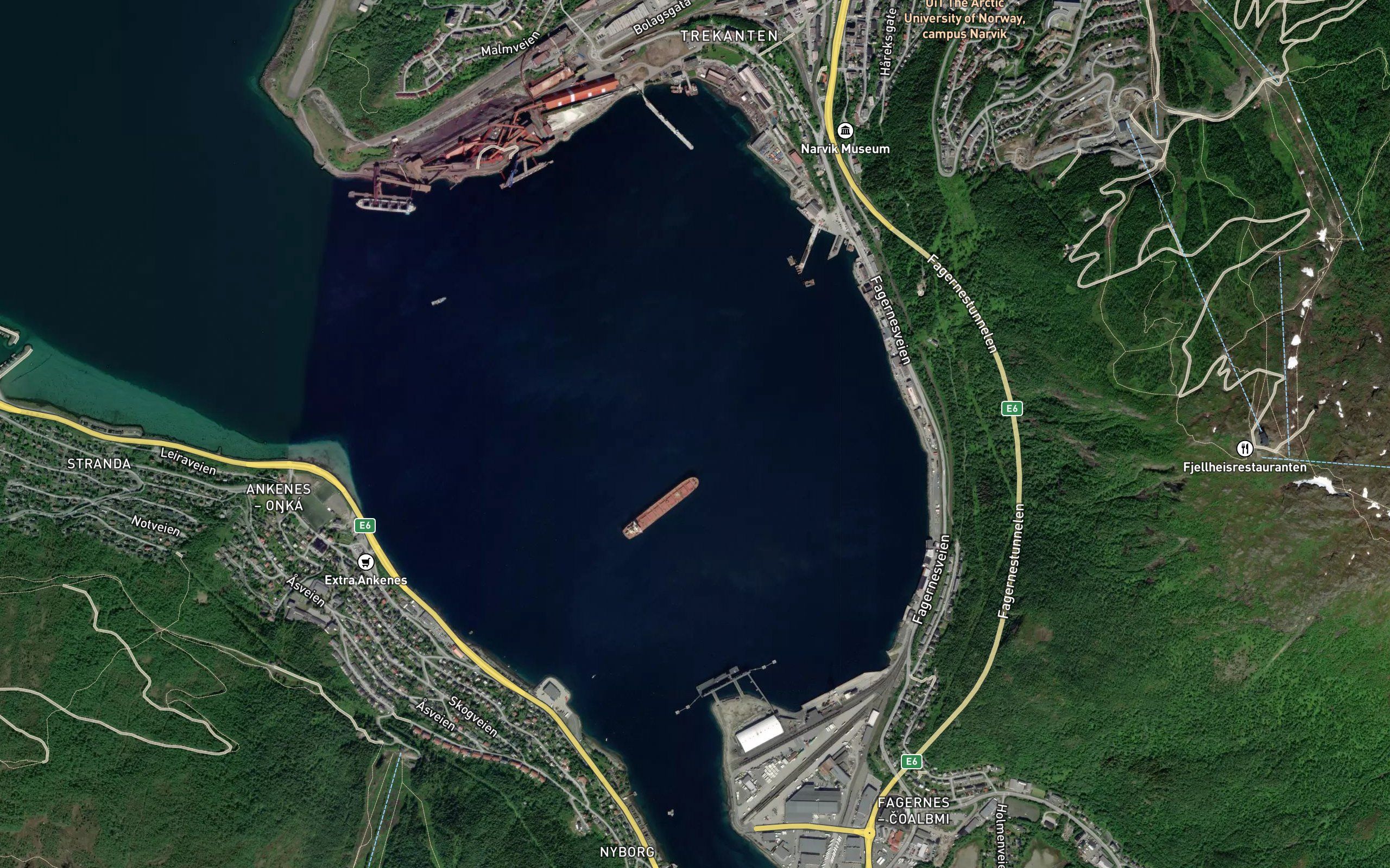 Narvikbukta