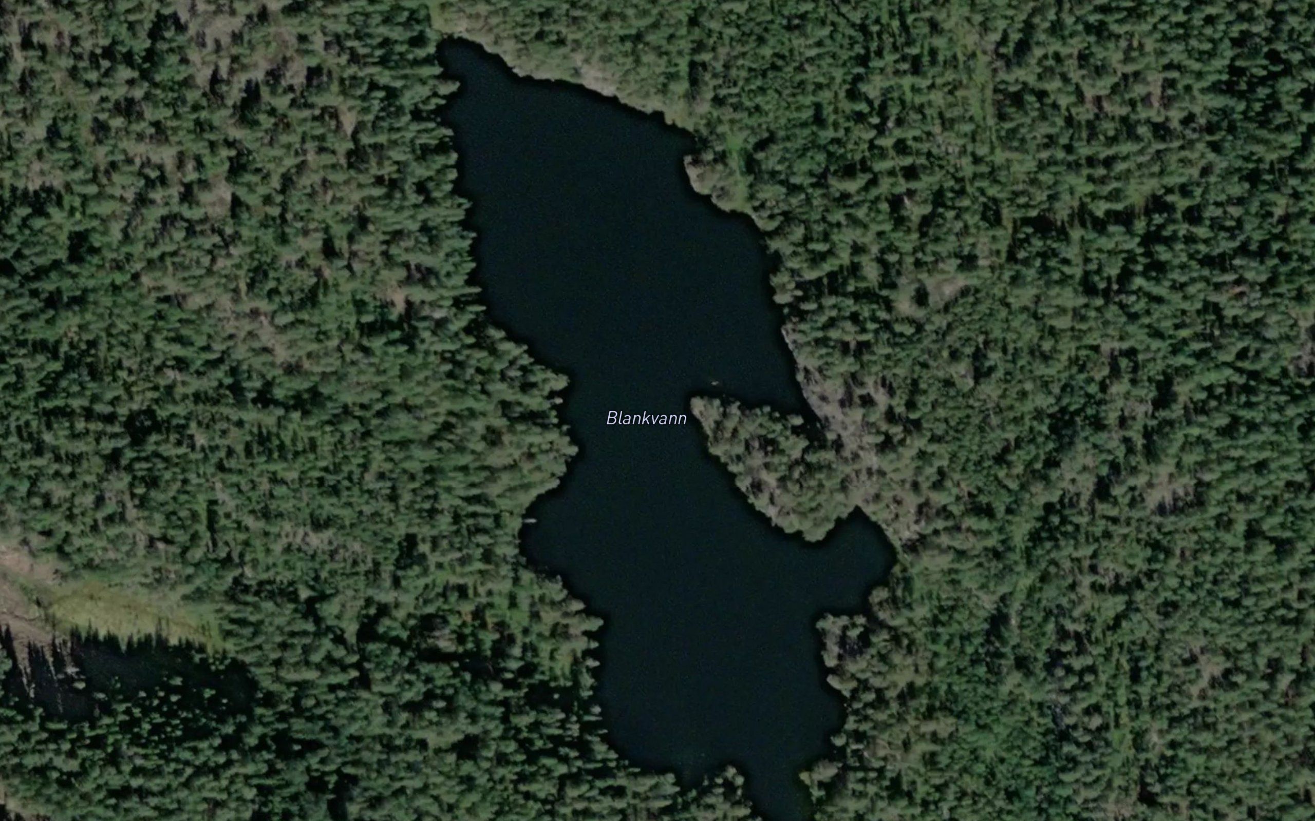 Blankvann