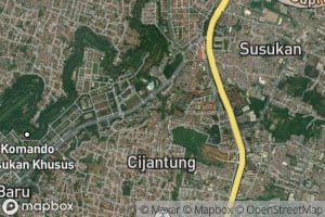 Ci Jantung