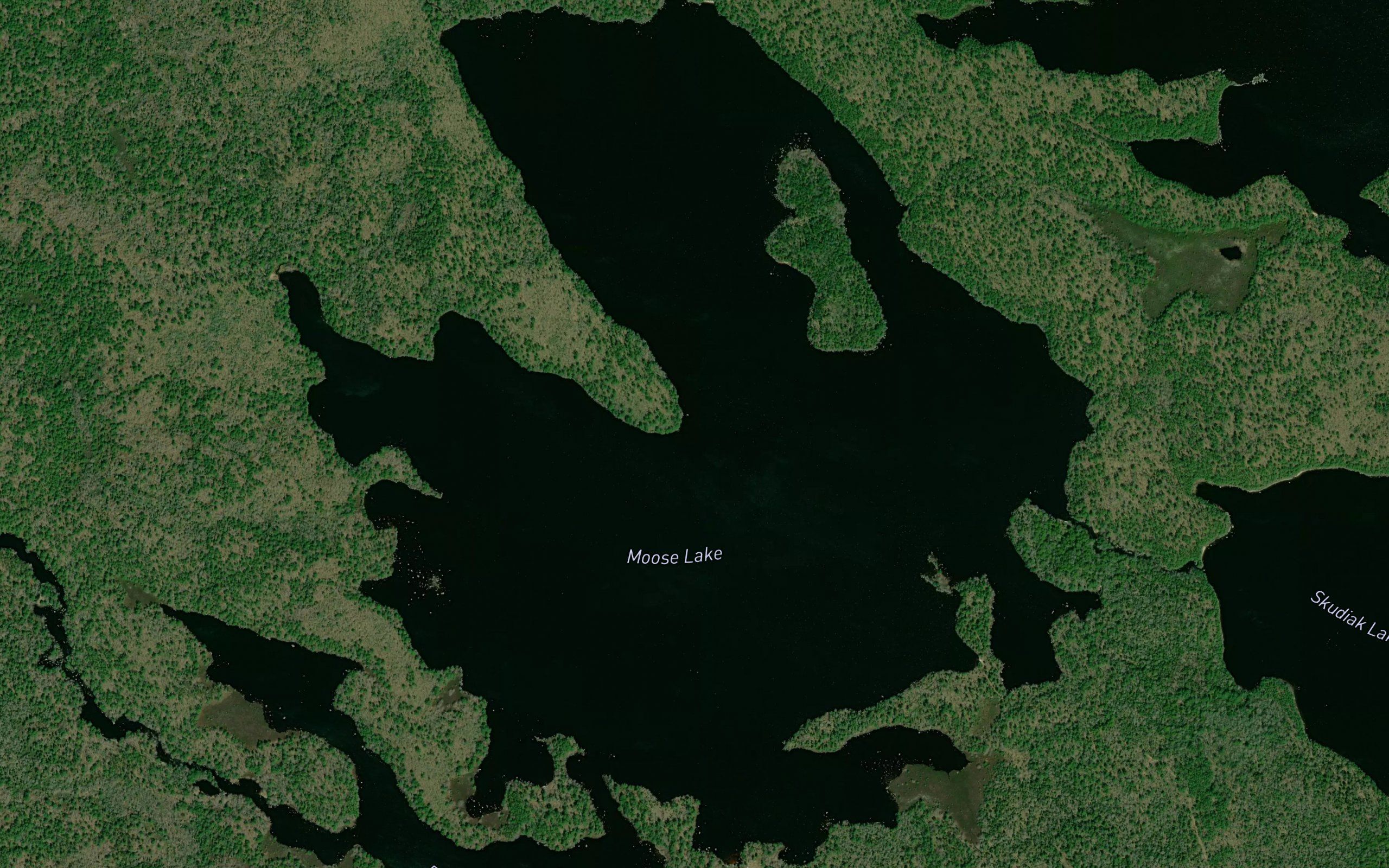 Moose Lake