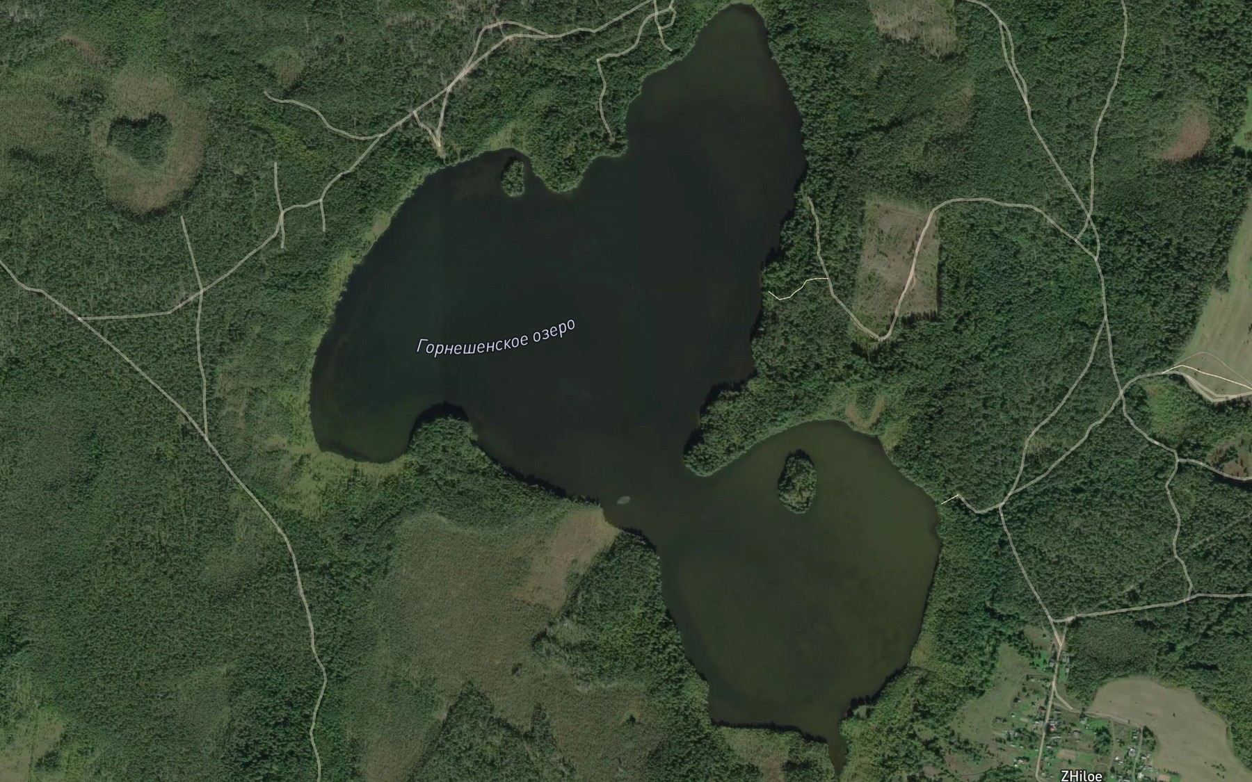 Satellite map of the Ozero Gorneshenskoye