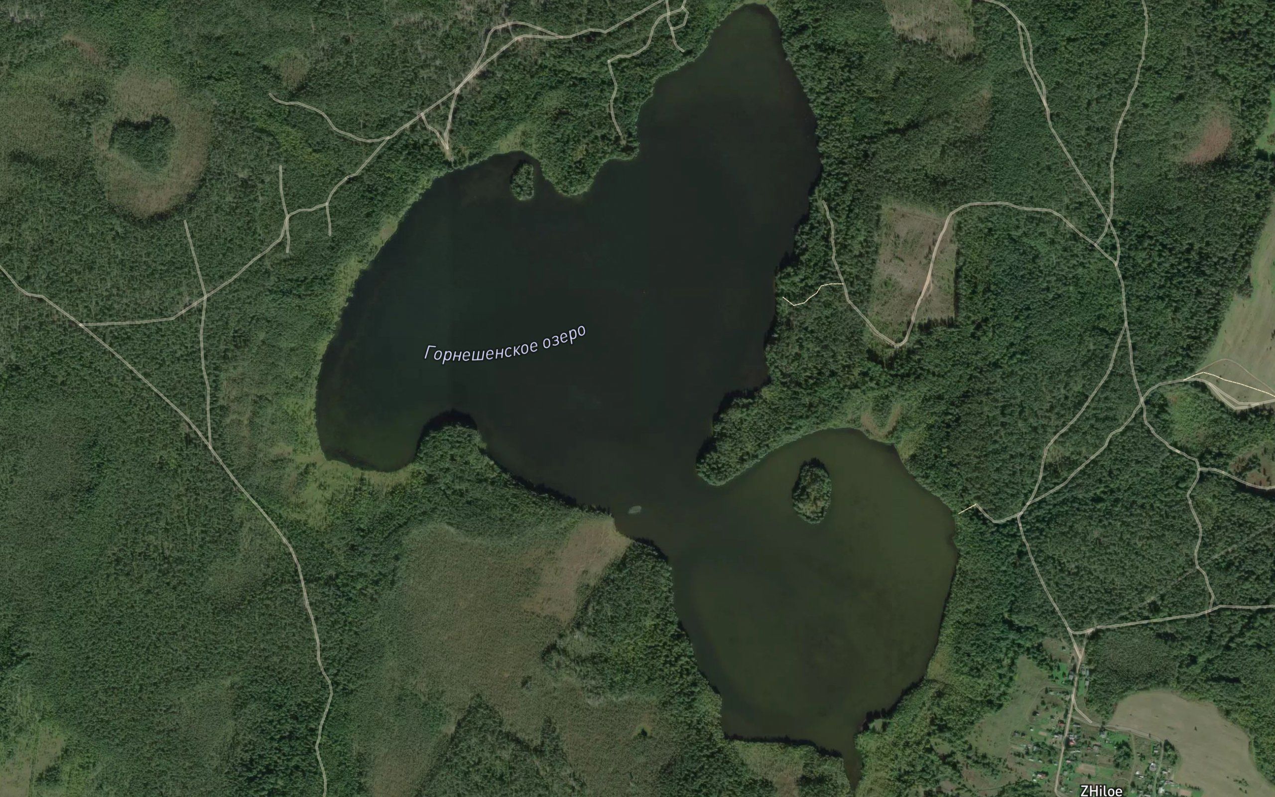 Ozero Gorneshenskoye