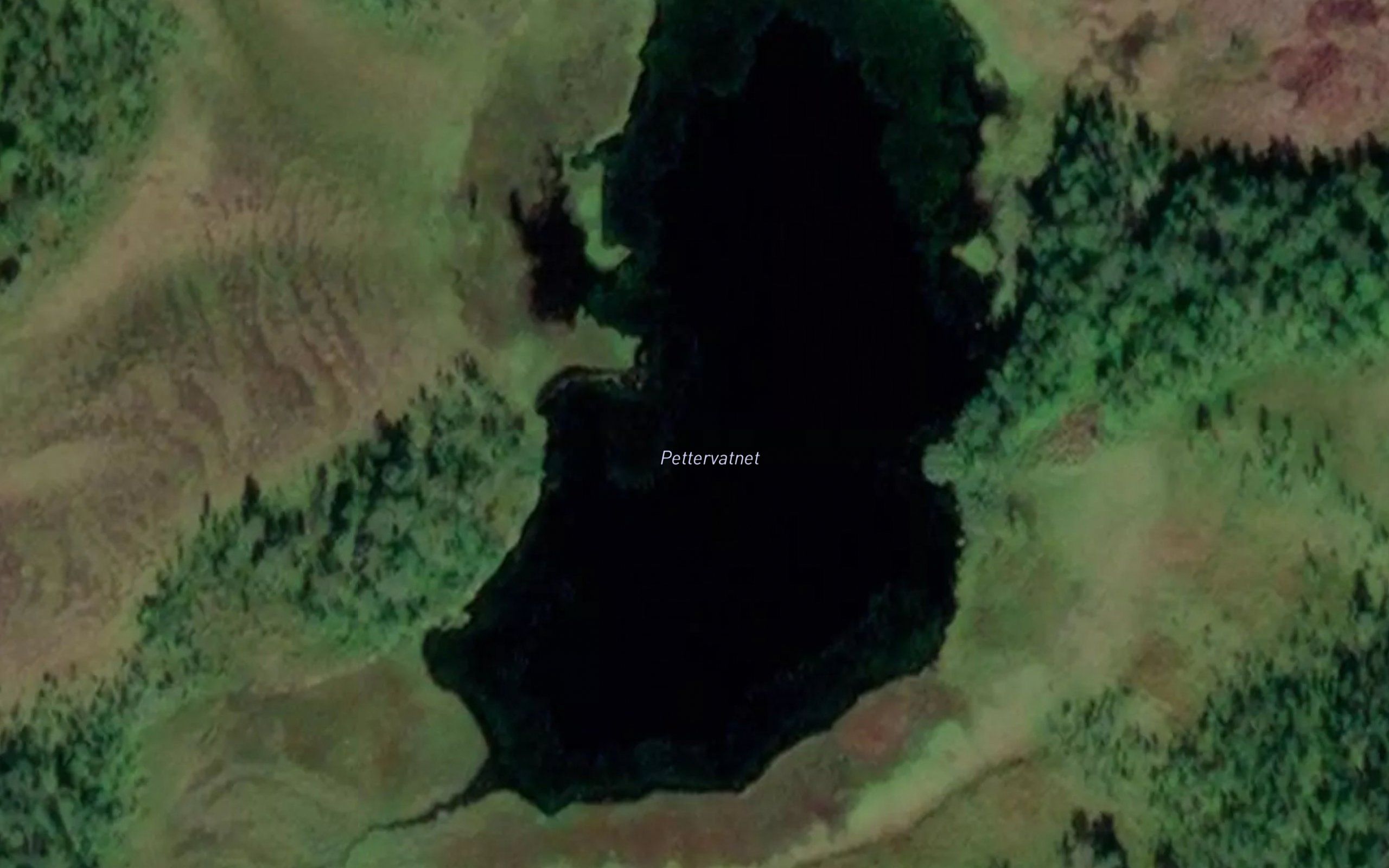Pettervatnet