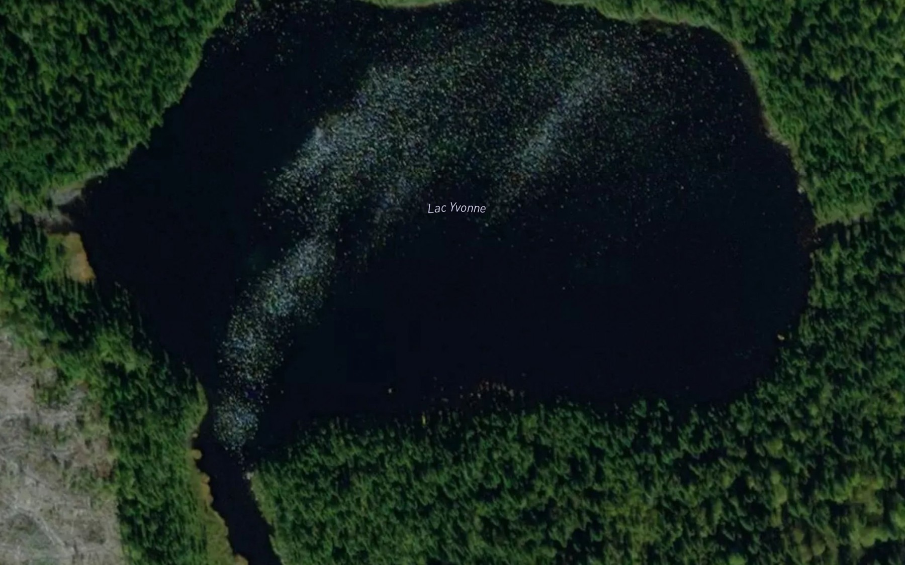 Satellite map of the Lac Yvonne