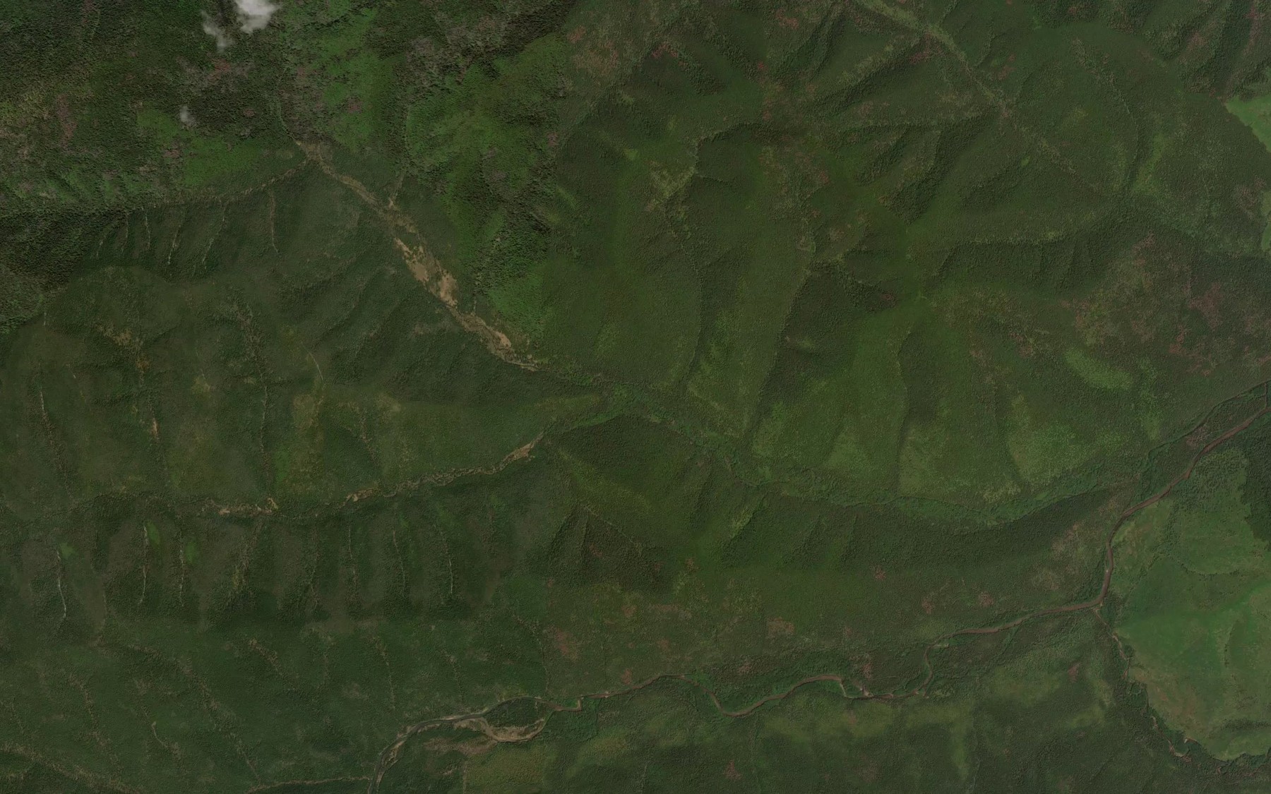 Satellite map of the Zverinyy