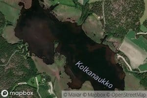 Kolkanaukko