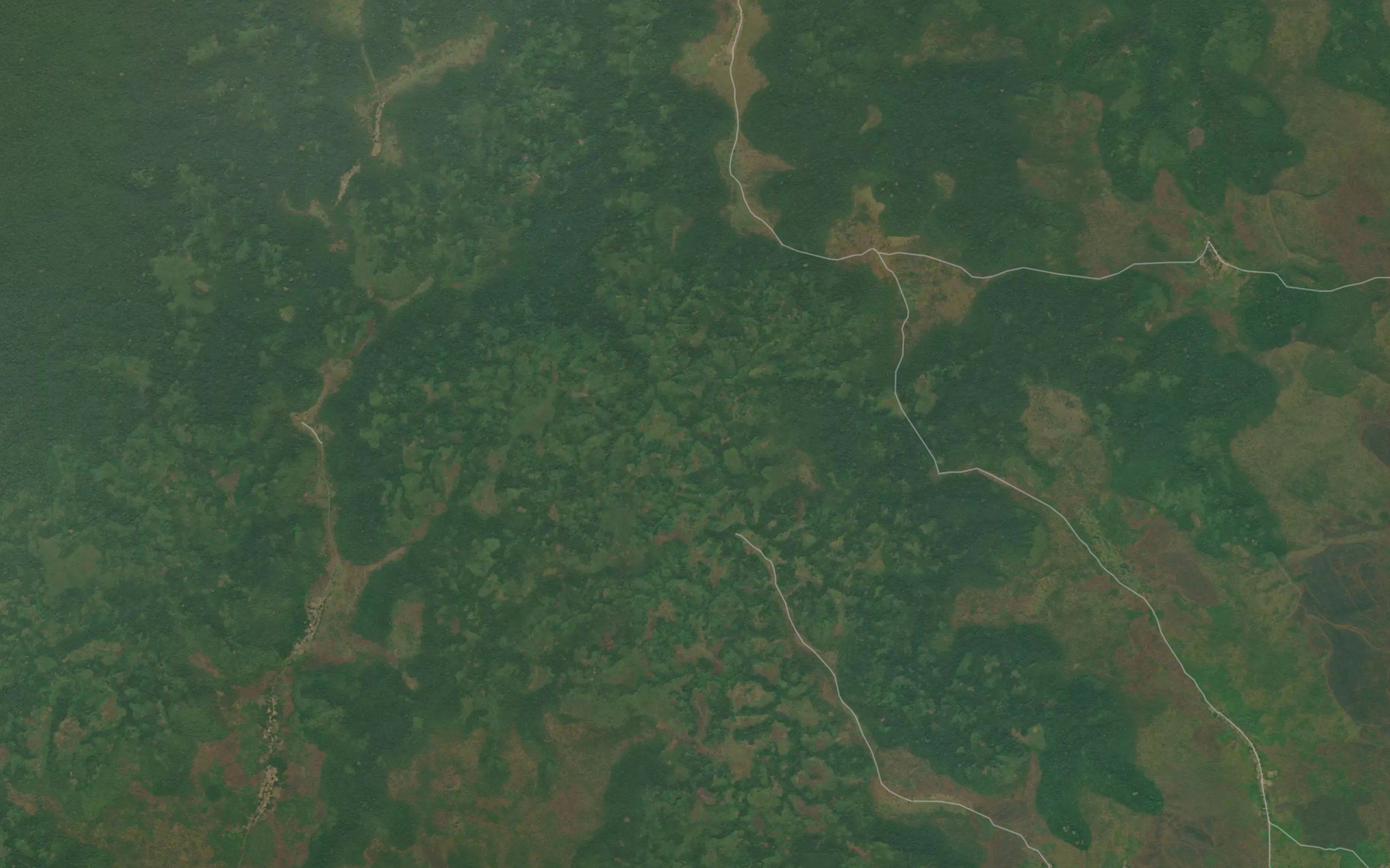 Komingi