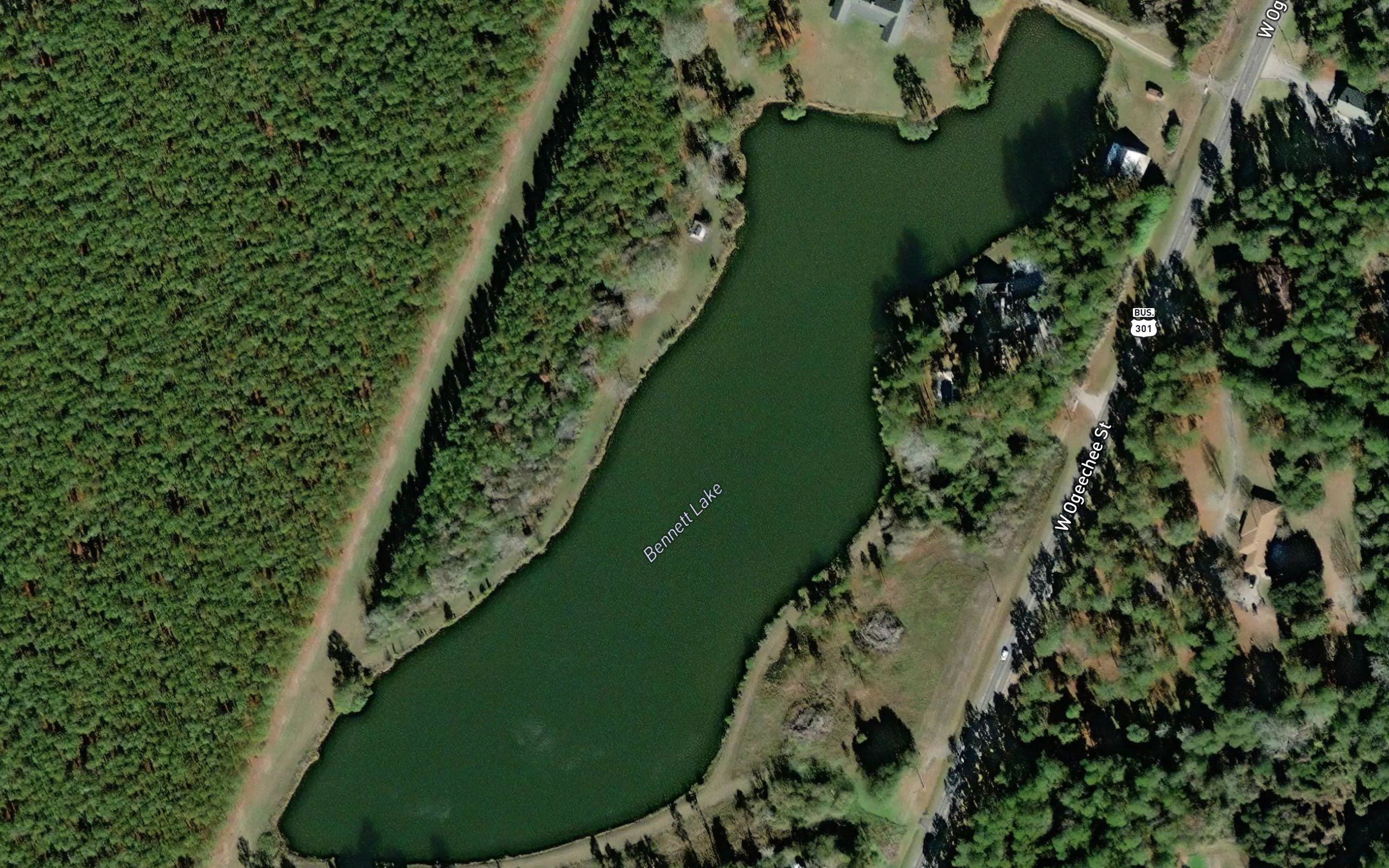 Bennett Lake