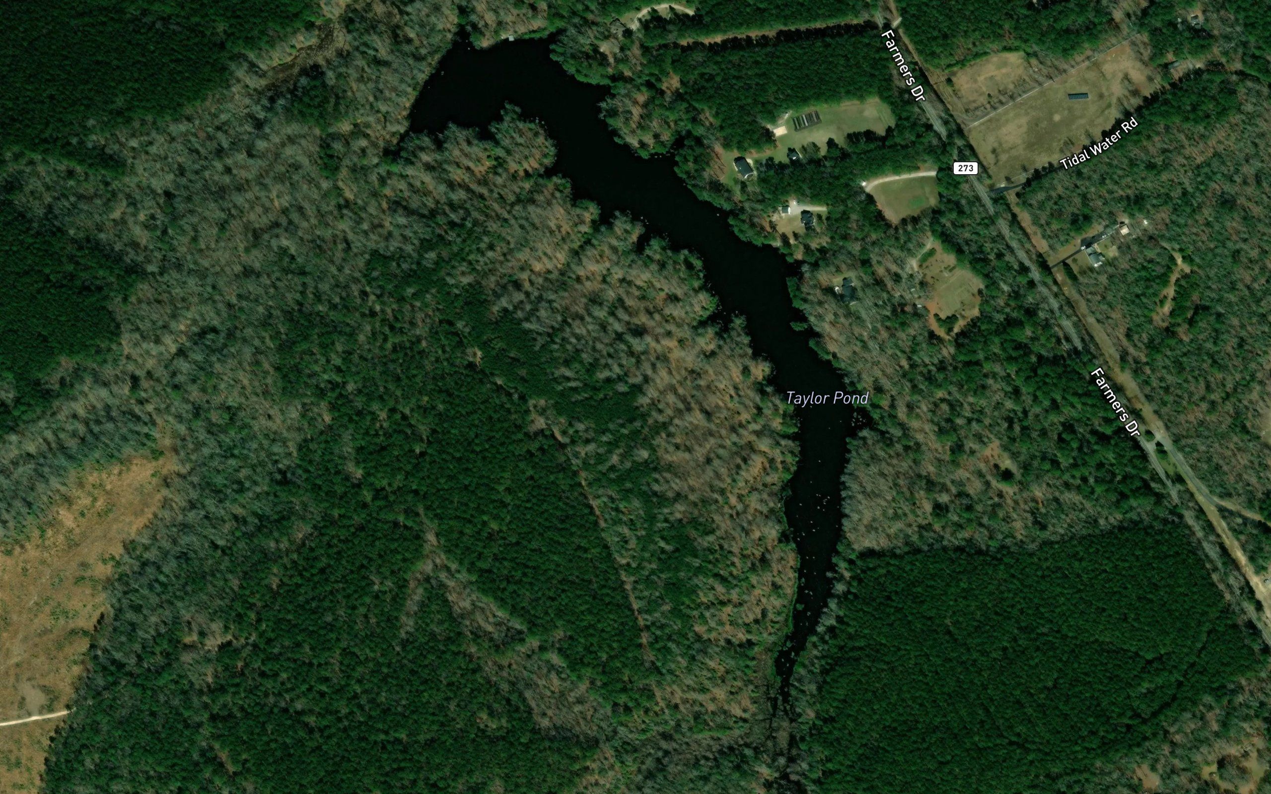 Taylor Pond