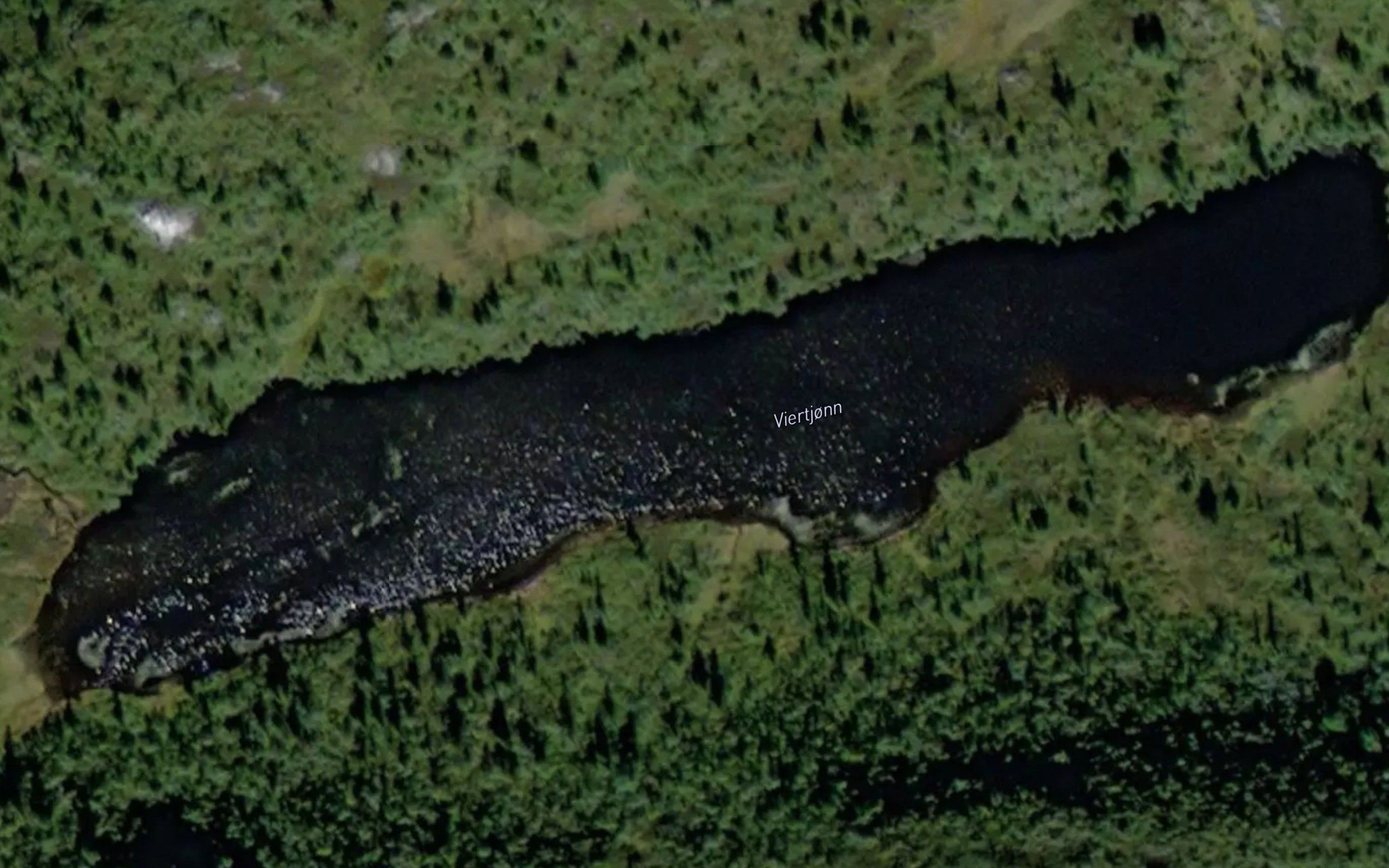 Viartjorna
