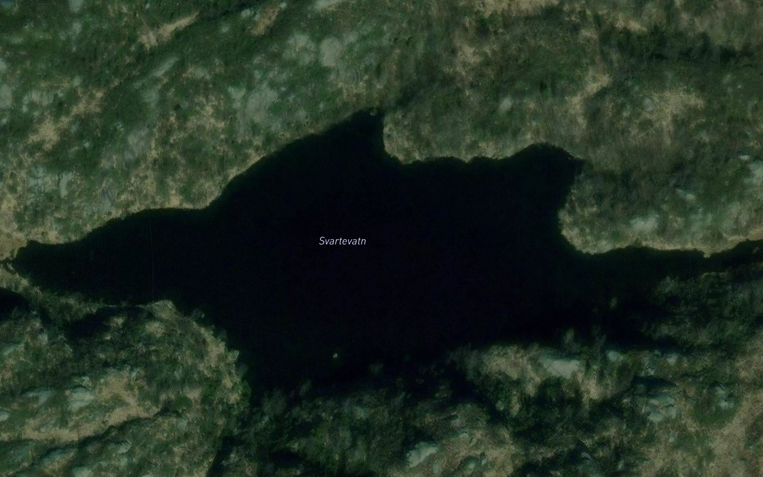 Svartevatn
