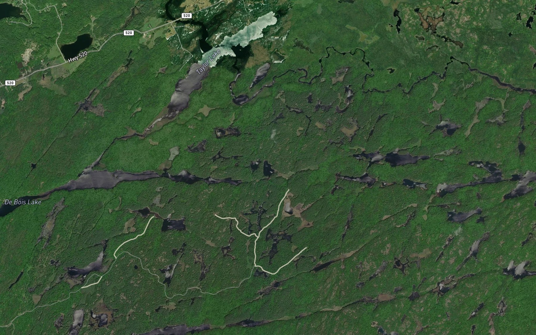 Satellite map of the Twin Lakes
