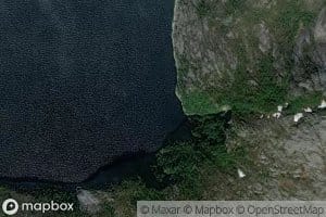 Grindvika