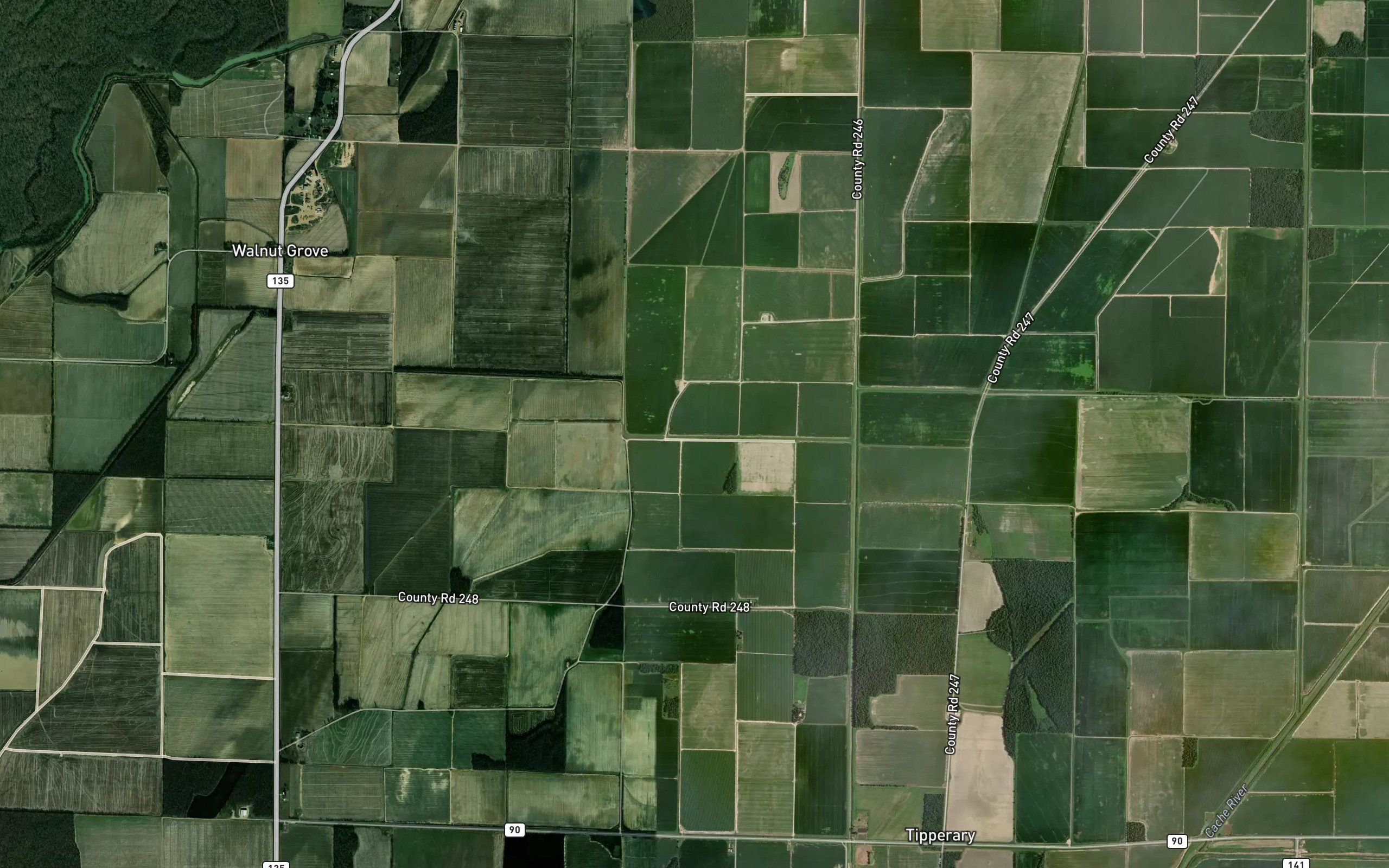 Ditch Number 25