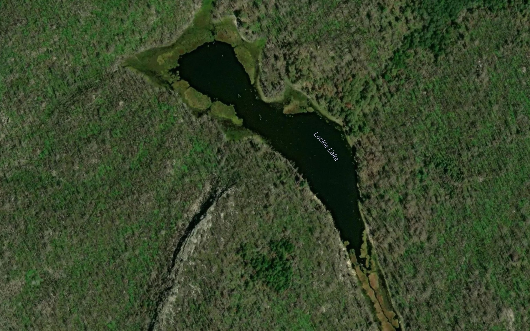Satellite map of the Lockie Lake
