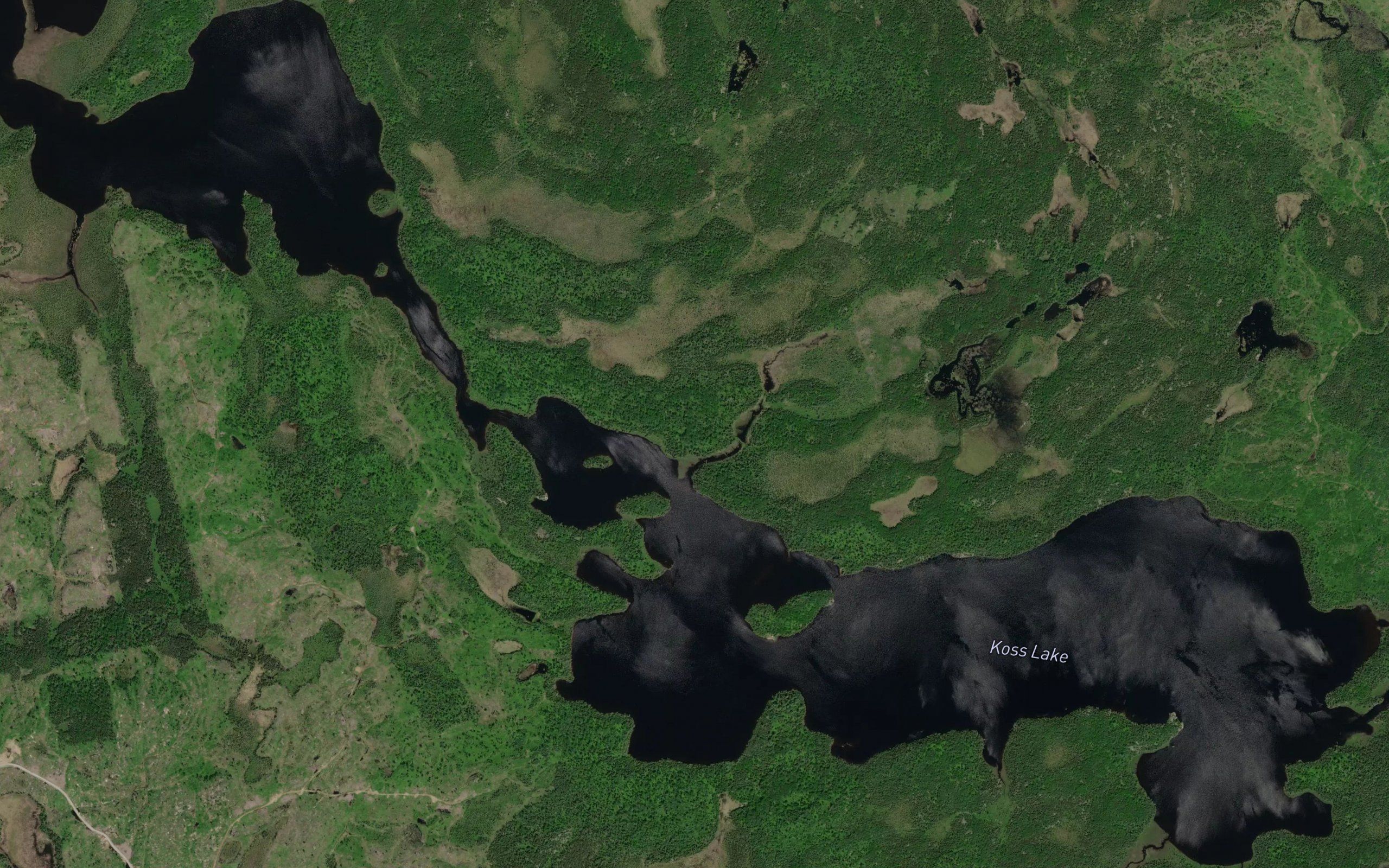 Koss Lake