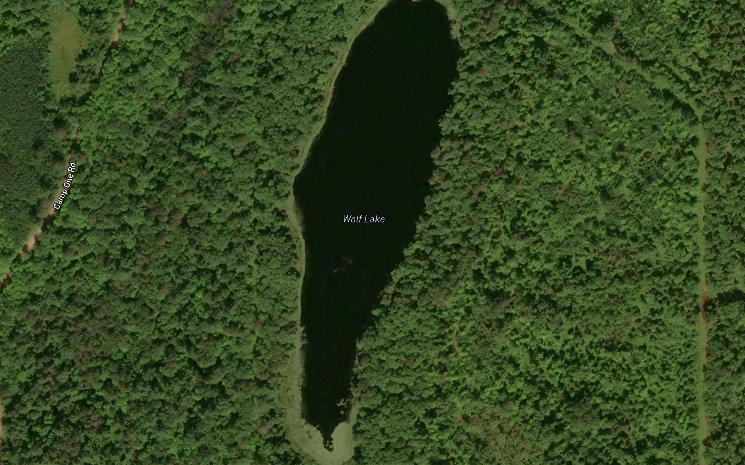 Wolf Lake