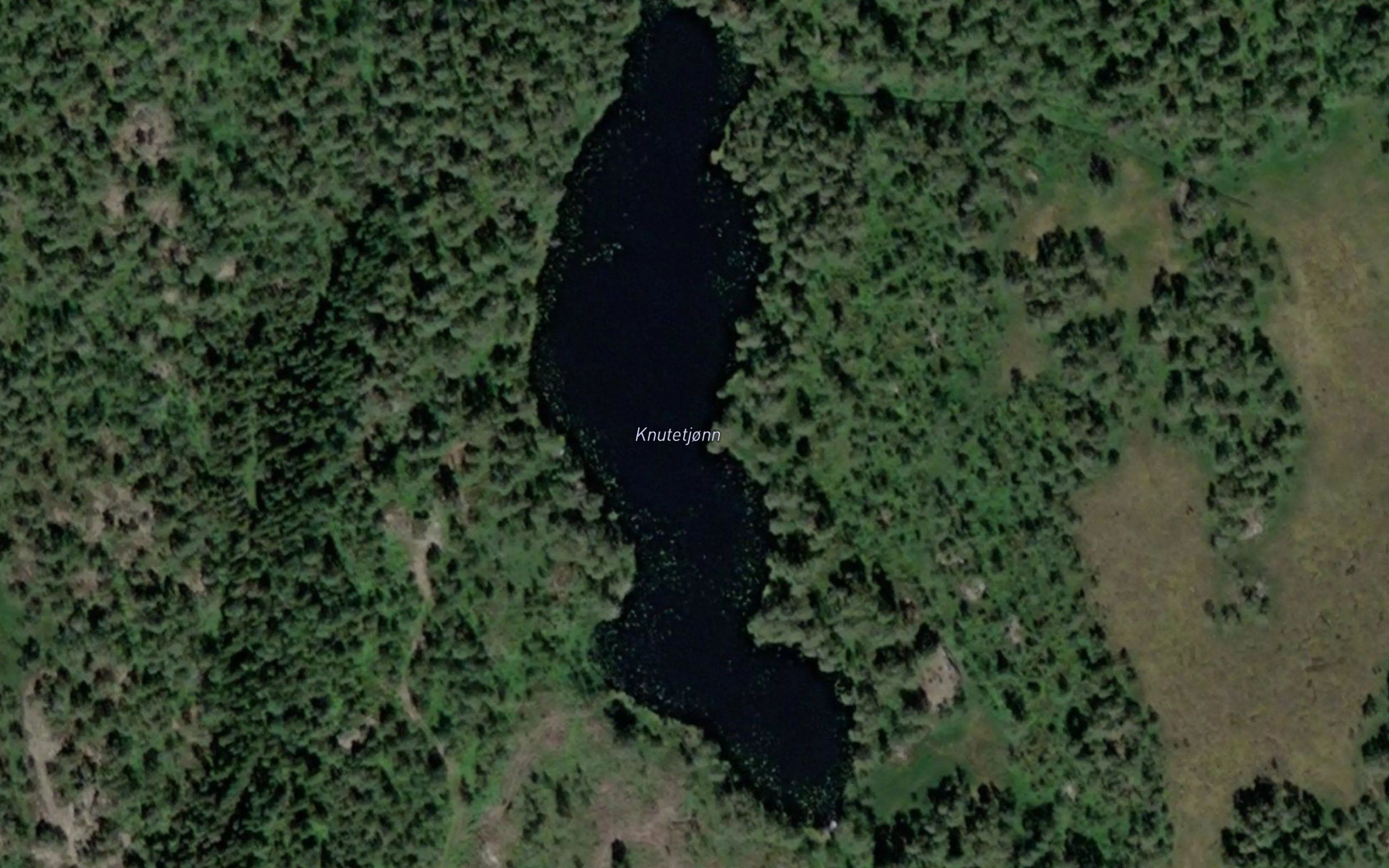 Knutetjonn