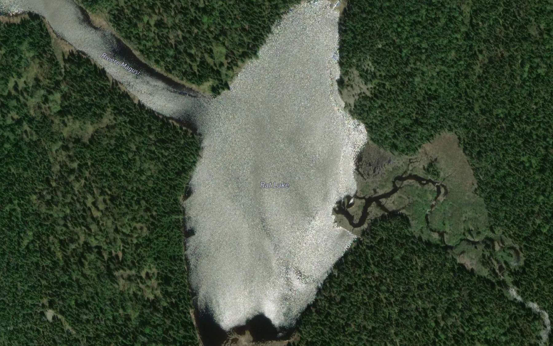 Satellite map of the Rat Lake