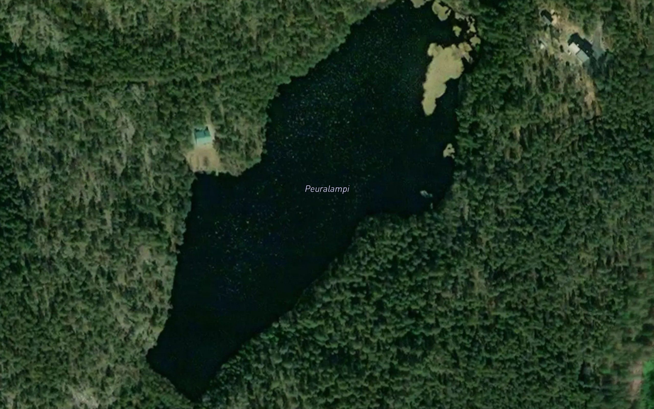 Peuralammi