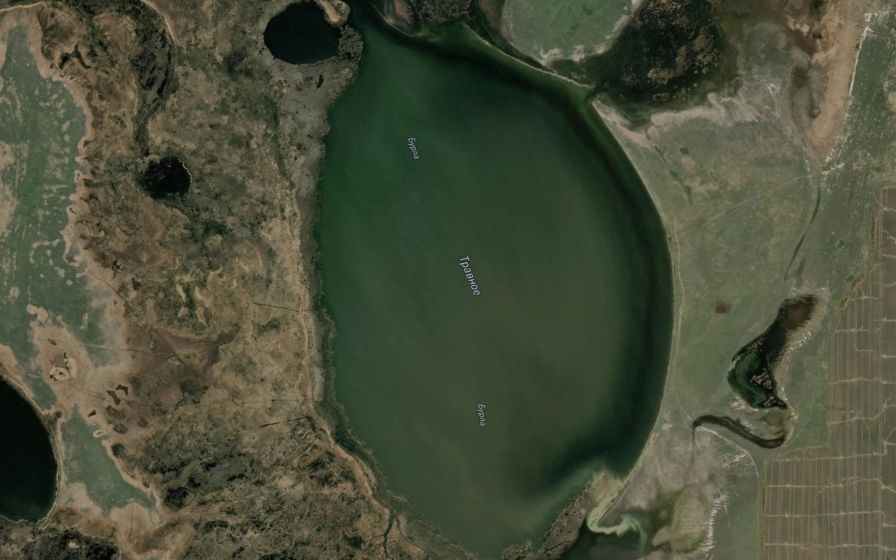 Satellite map of the Ozero Travnoye