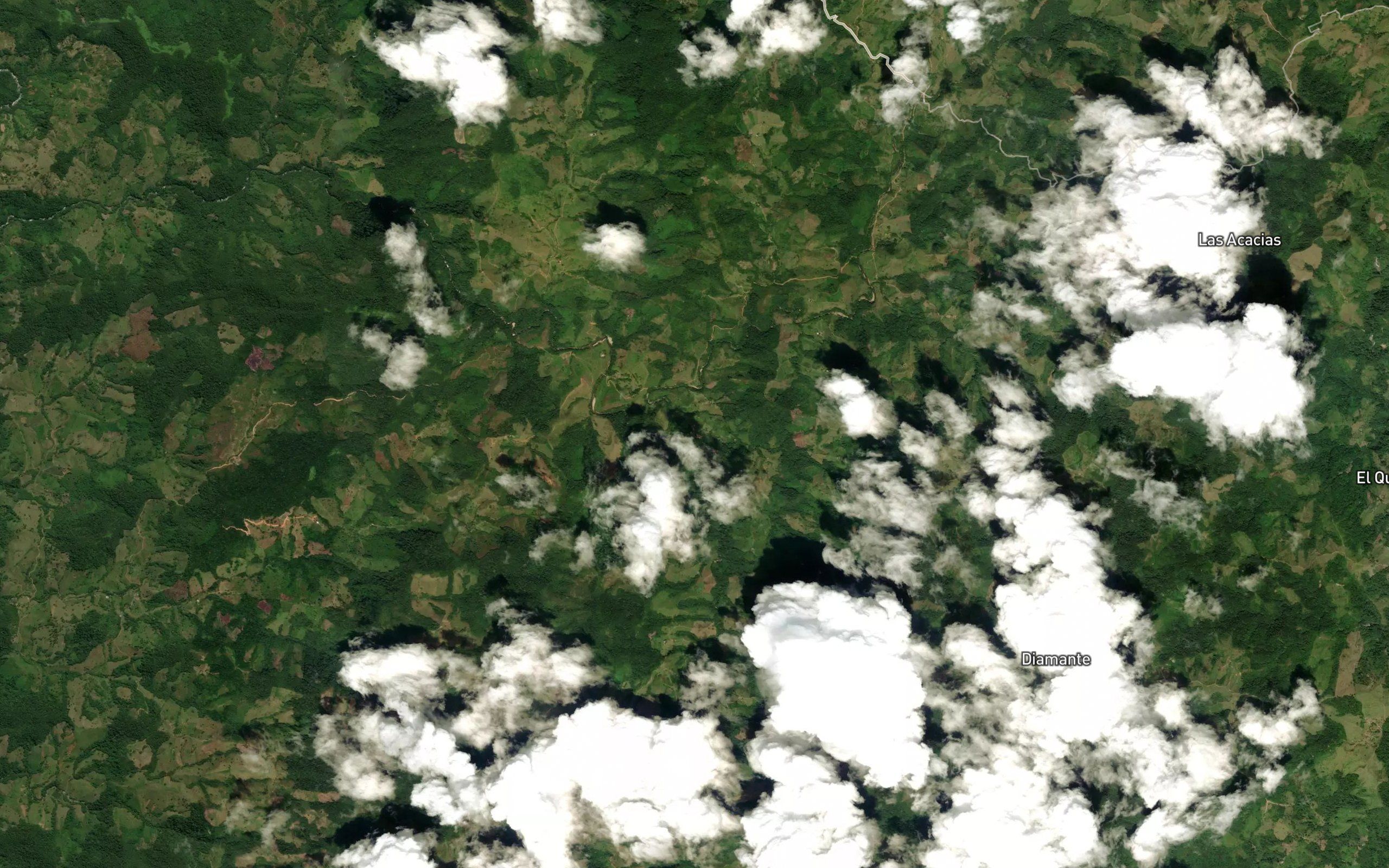 Quebrada El Bosque