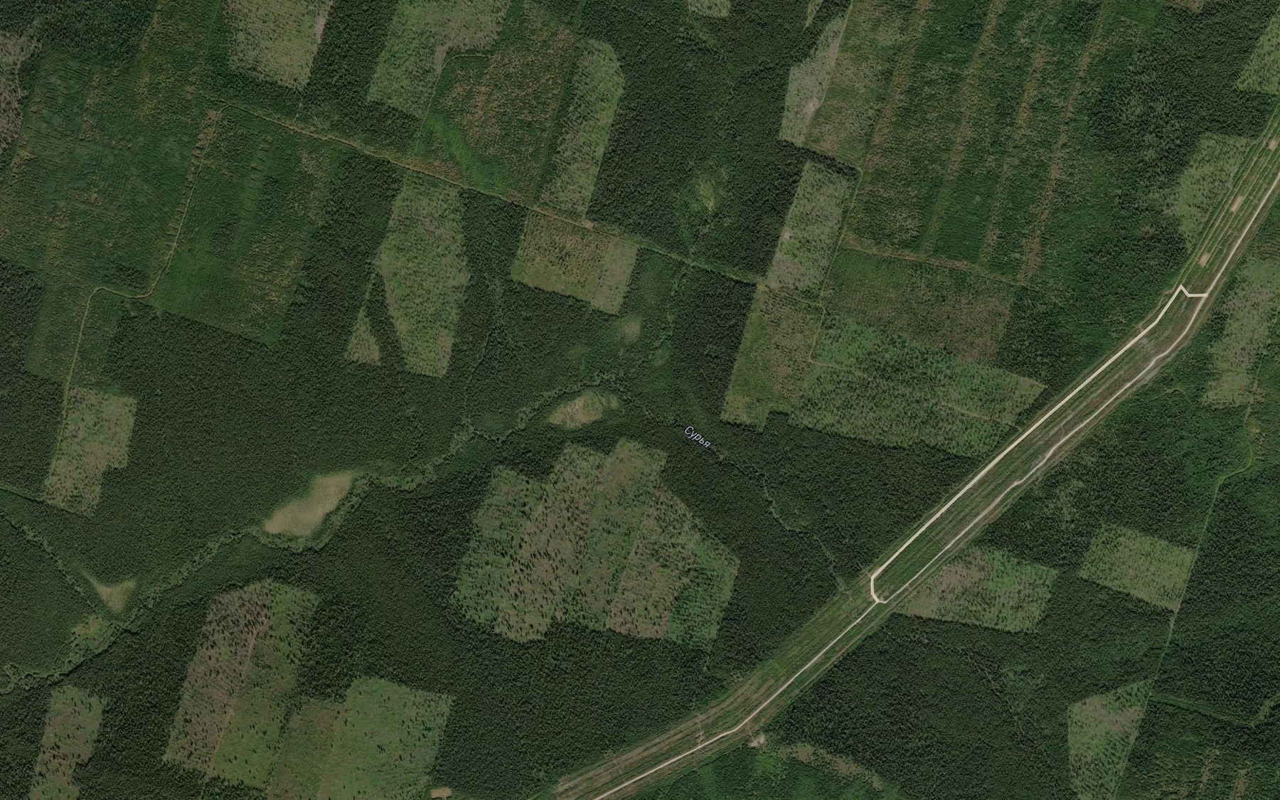 Satellite map of the Bol'shaya Sur'ya