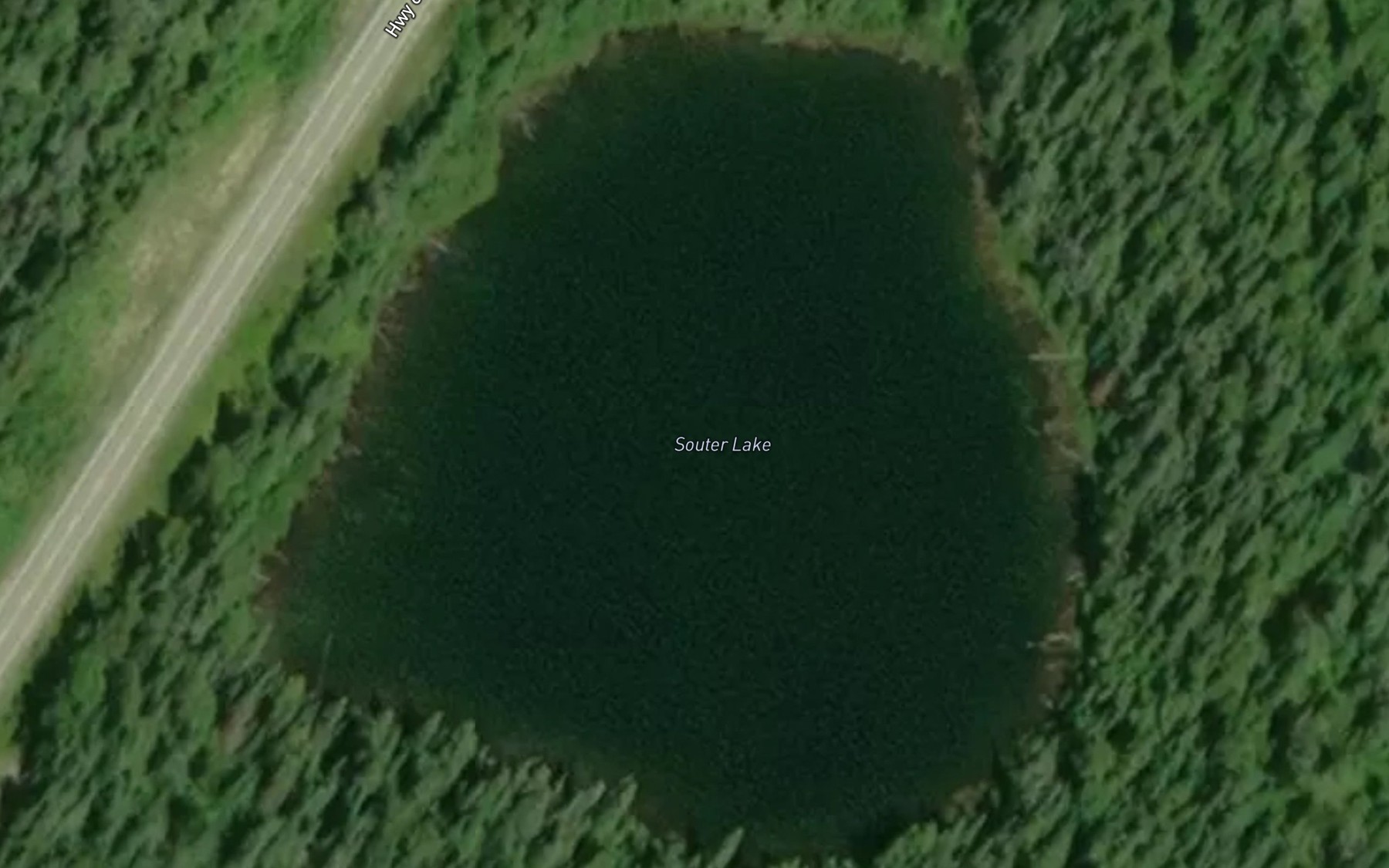 Satellite map of the Souter Lake