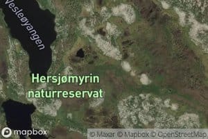 Vesleoyangsbekken