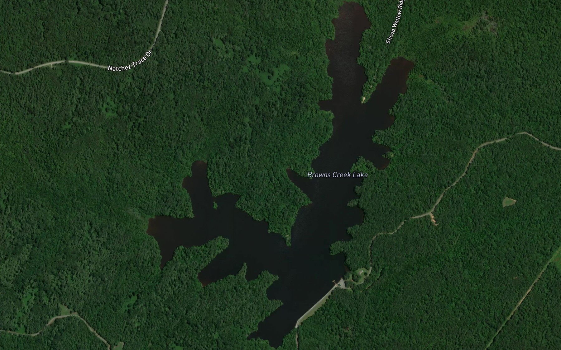 Satellite map of the Browns Creek Lake