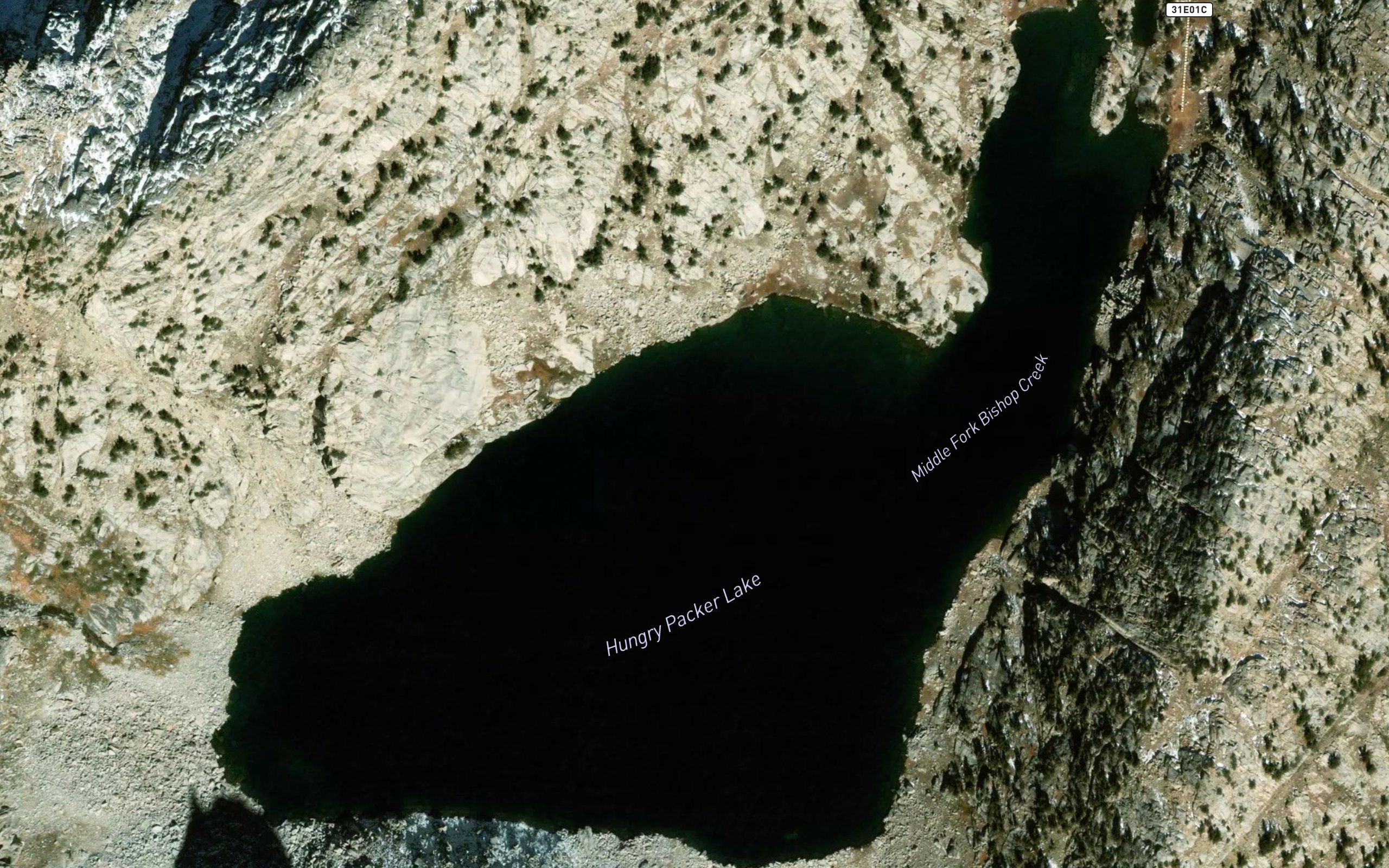 Hungry Packer Lake