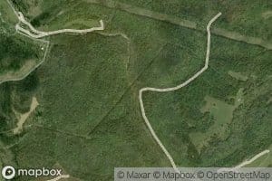 Lost Fork