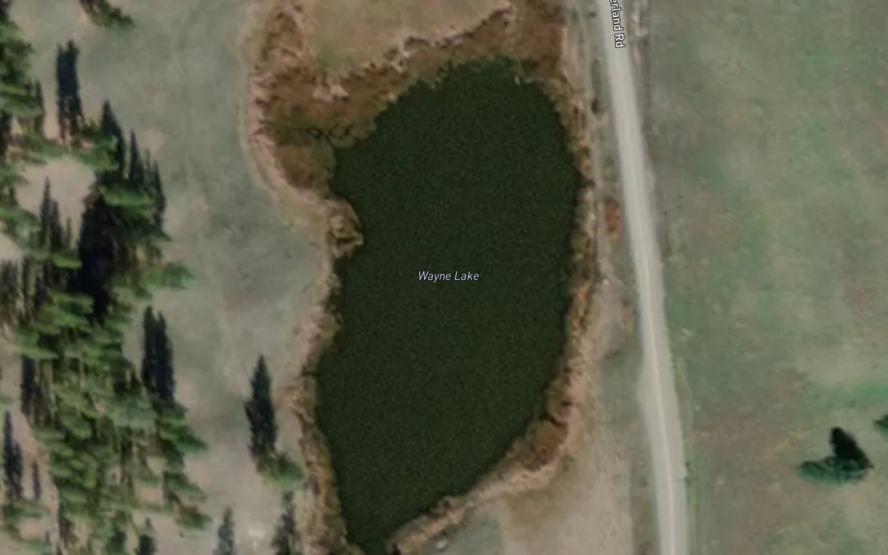 Satellite map of the Wayne Lake