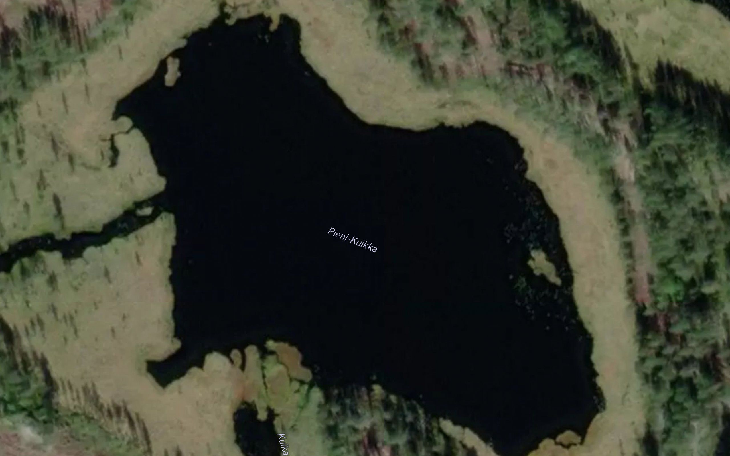 Pieni-Kuikka