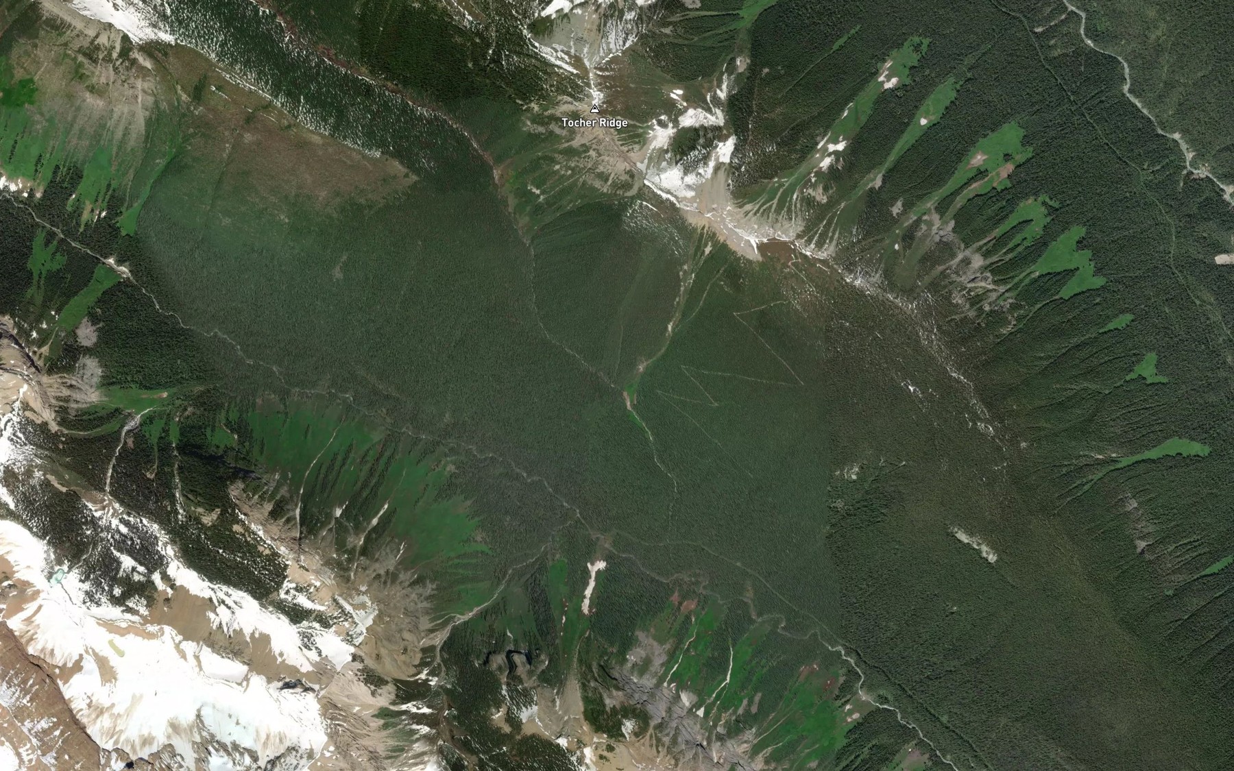 Satellite map of the Oreamnos Creek