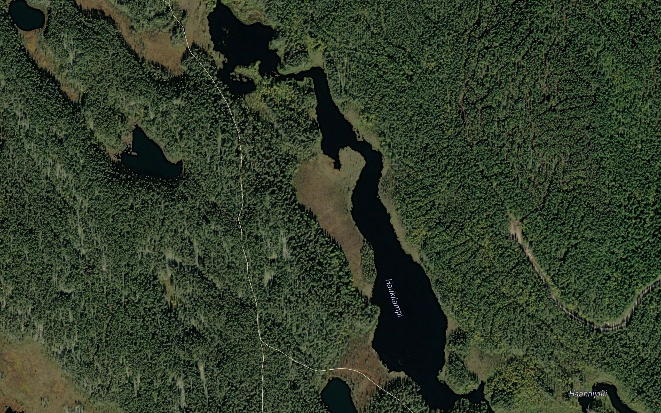 Haukilampi