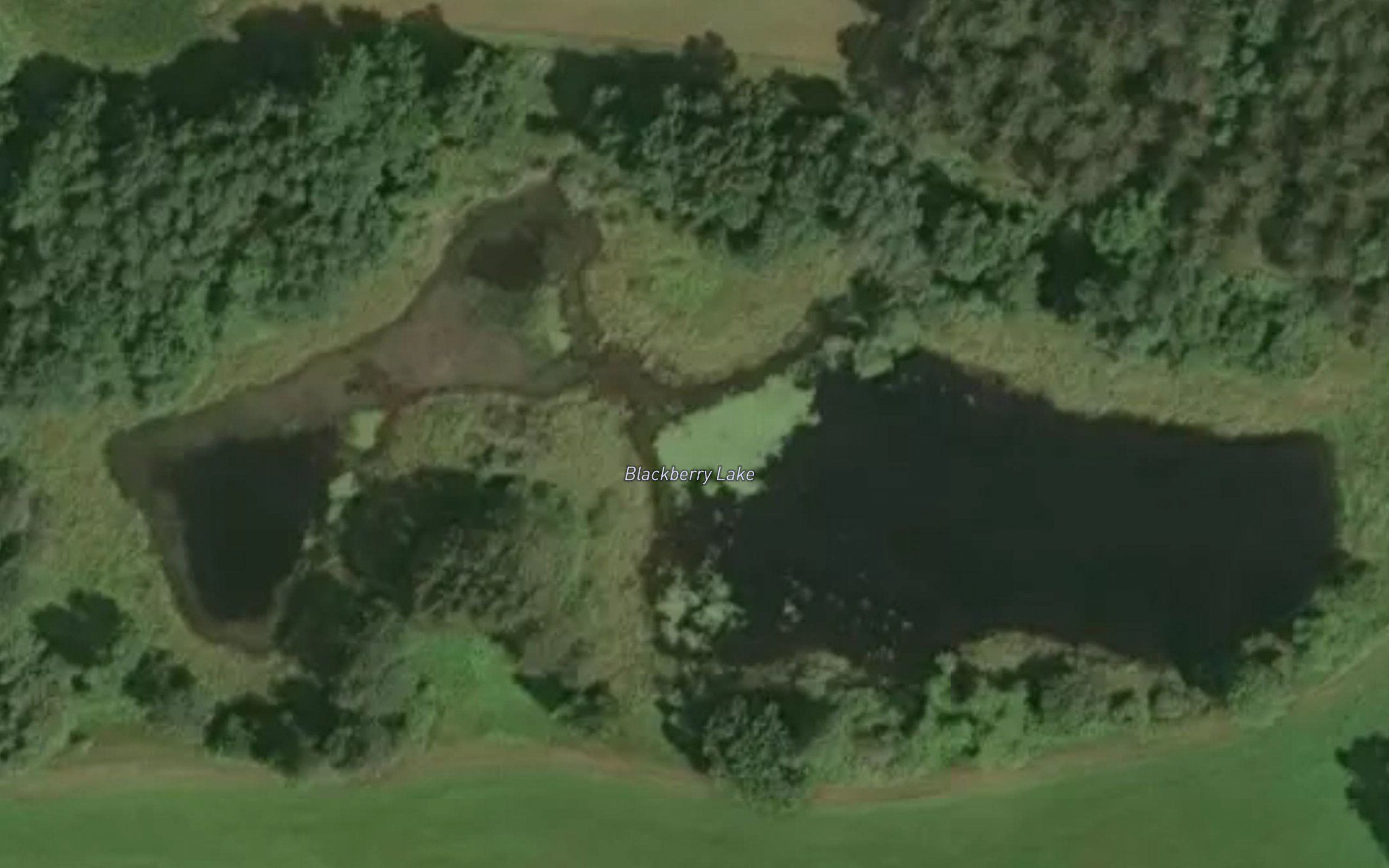 Blackberry Lake