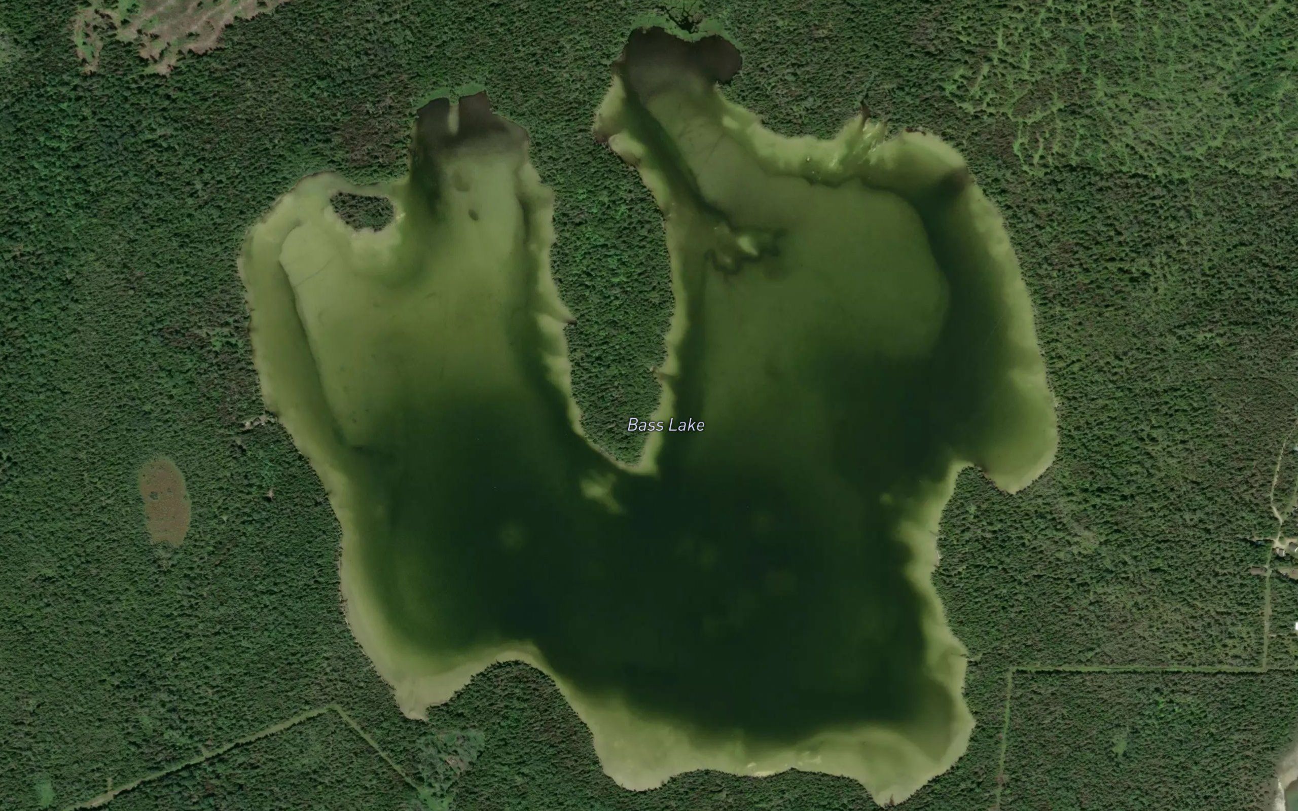 Bass Lake
