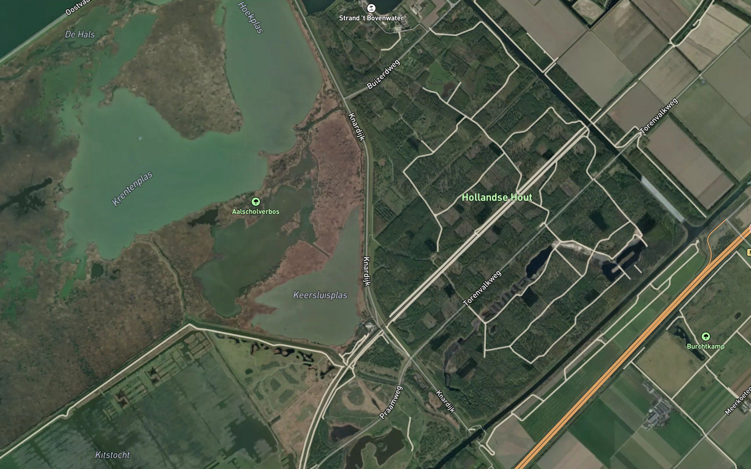 Torenvalktocht