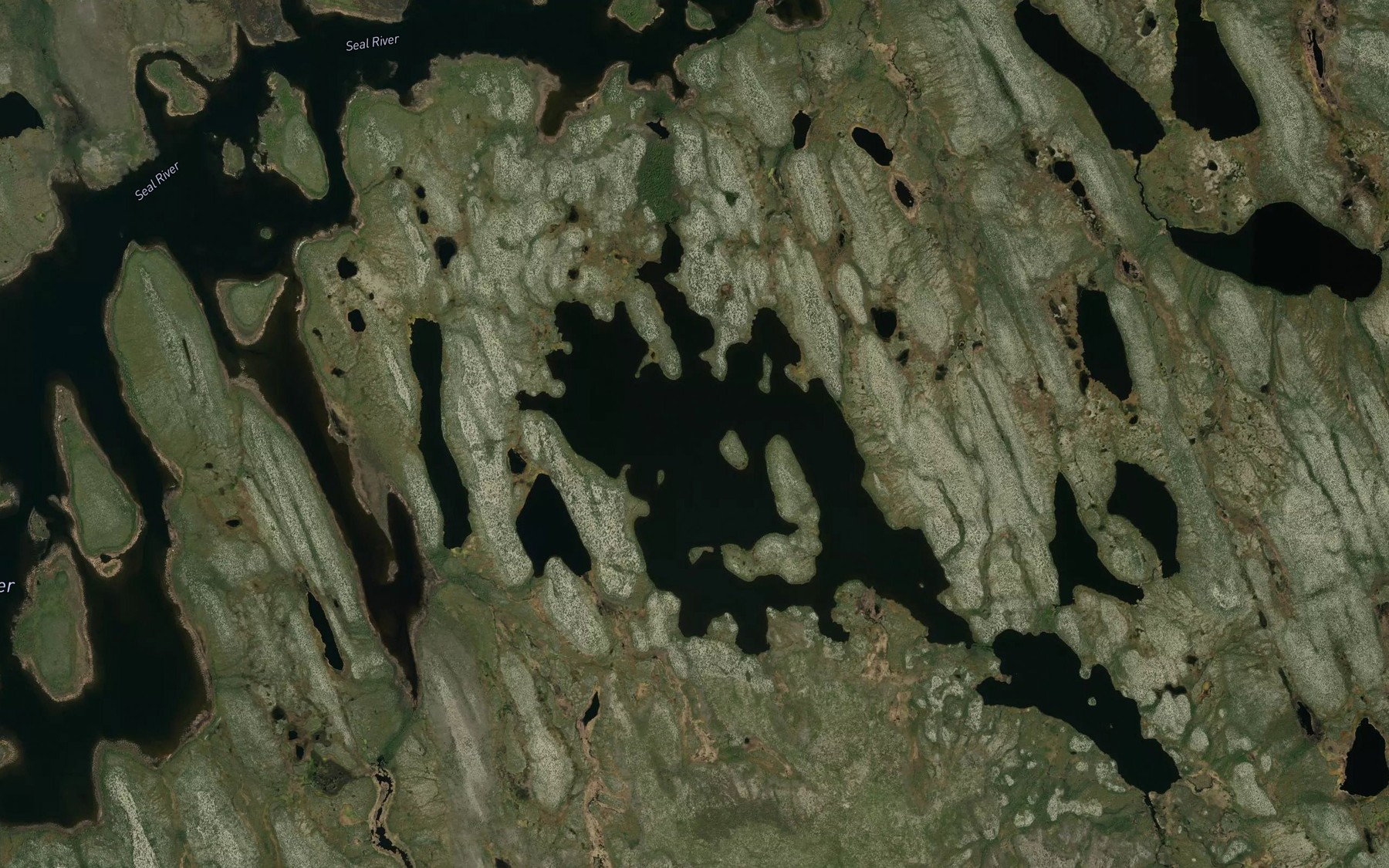 Satellite map of the Wozniak Lake