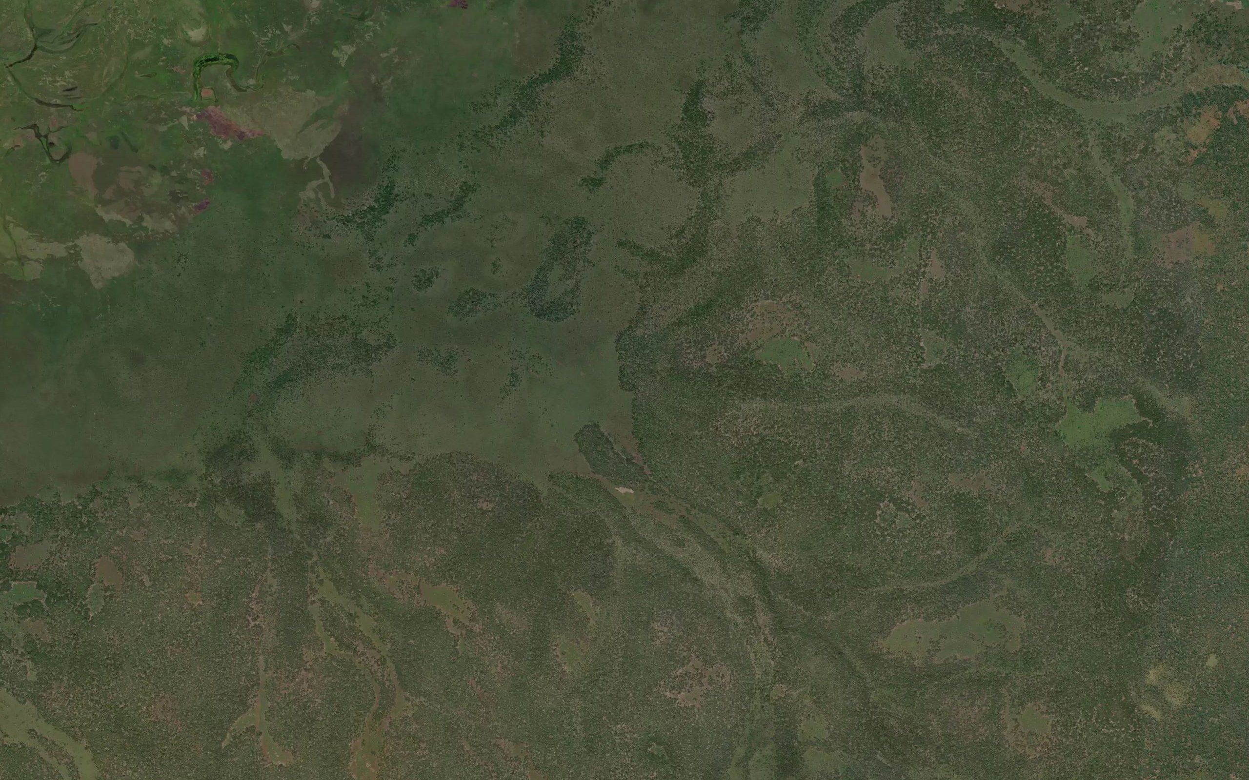 Zungue